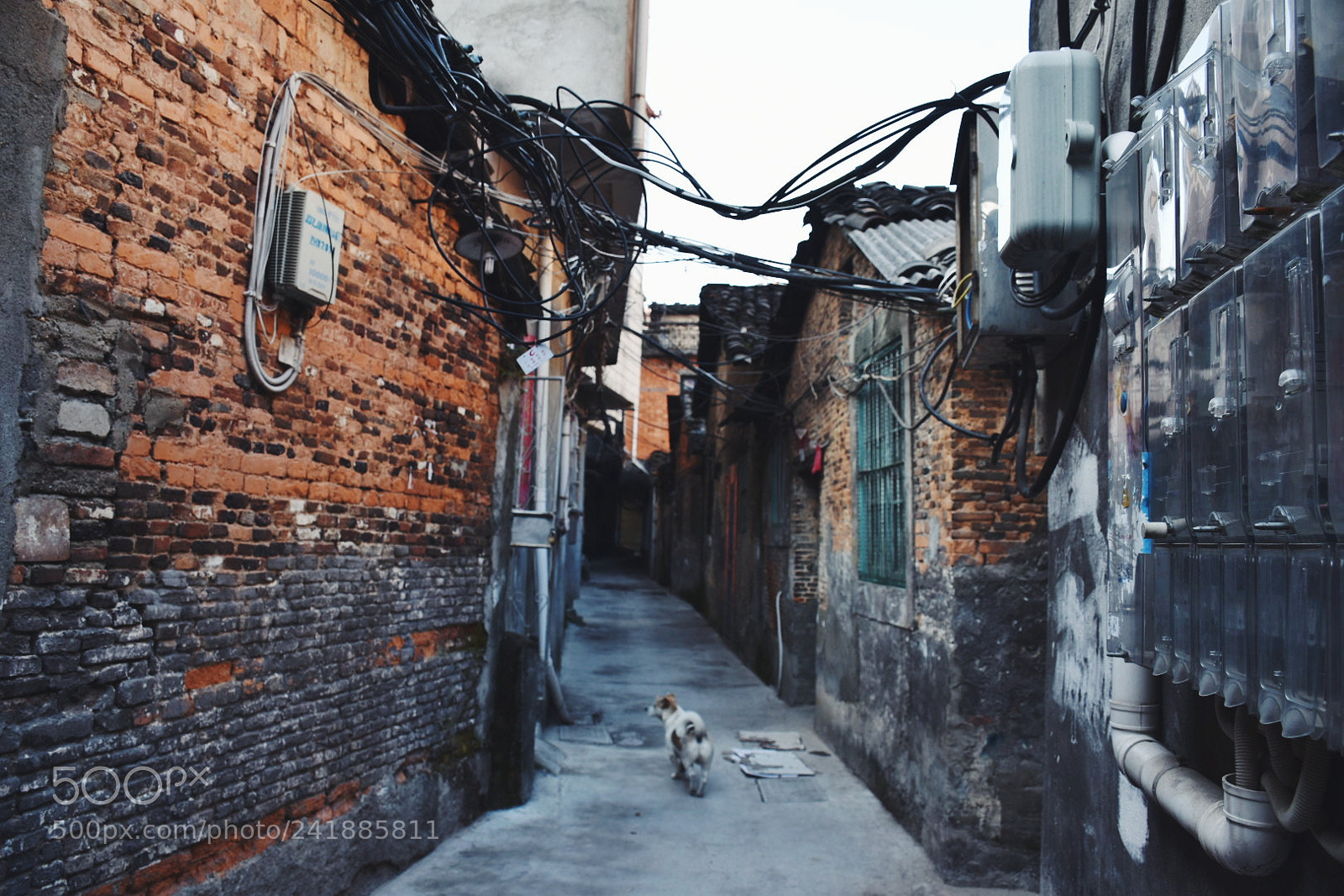Nikon D5600 sample photo. Dying alley photography