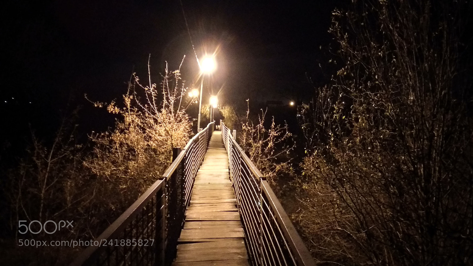 Xiaomi Mi A1 sample photo. Untitled photography
