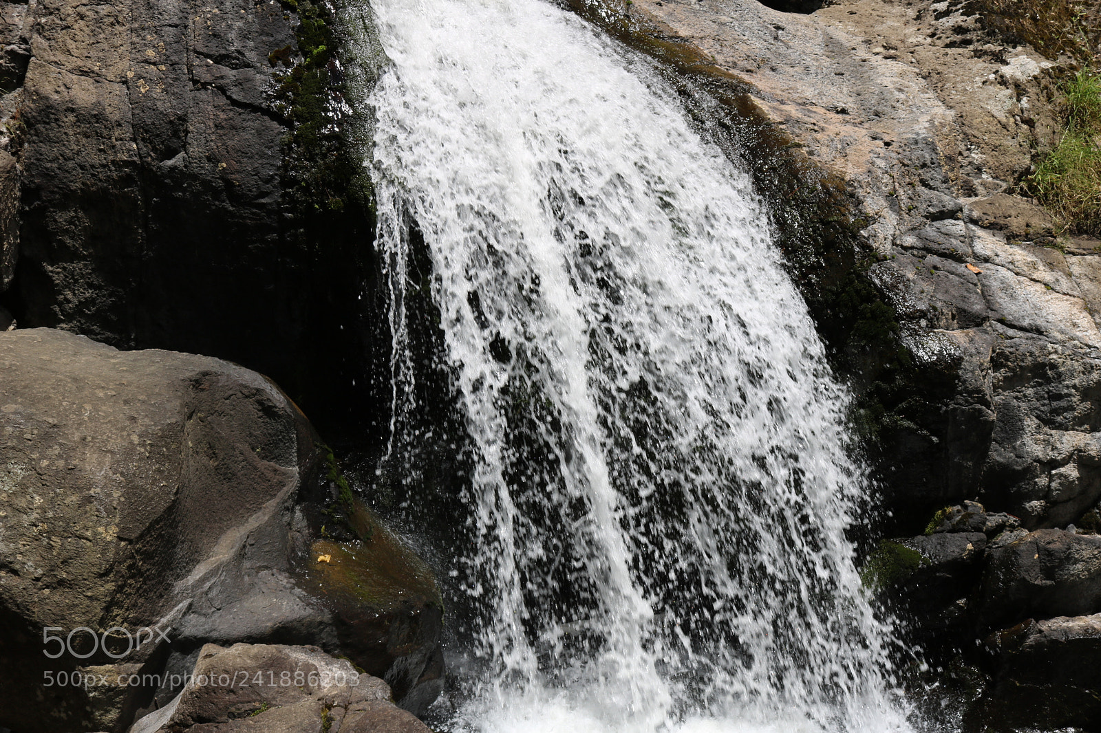 Canon EOS 750D (EOS Rebel T6i / EOS Kiss X8i) sample photo. Img photography