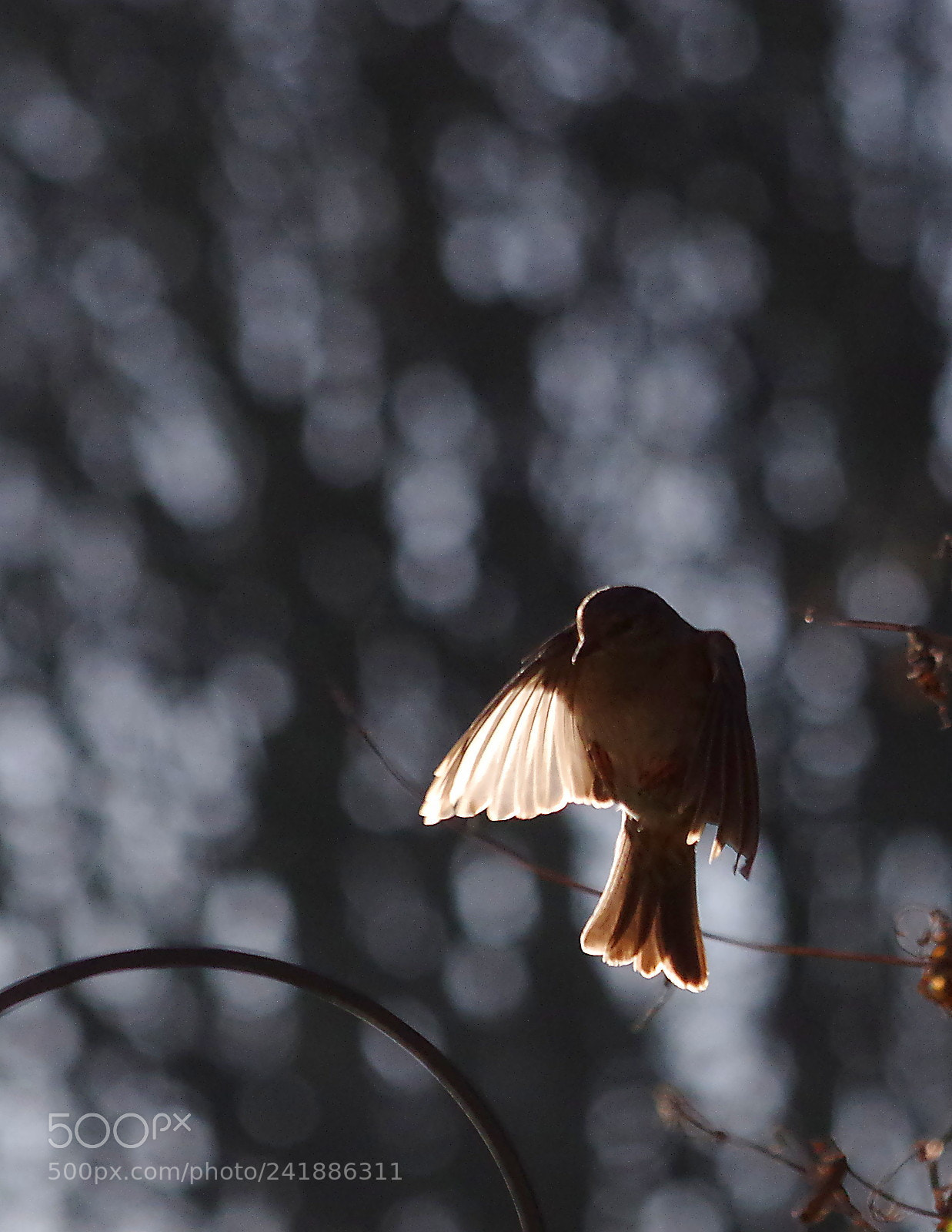 Pentax K-3 sample photo. Landing approach photography