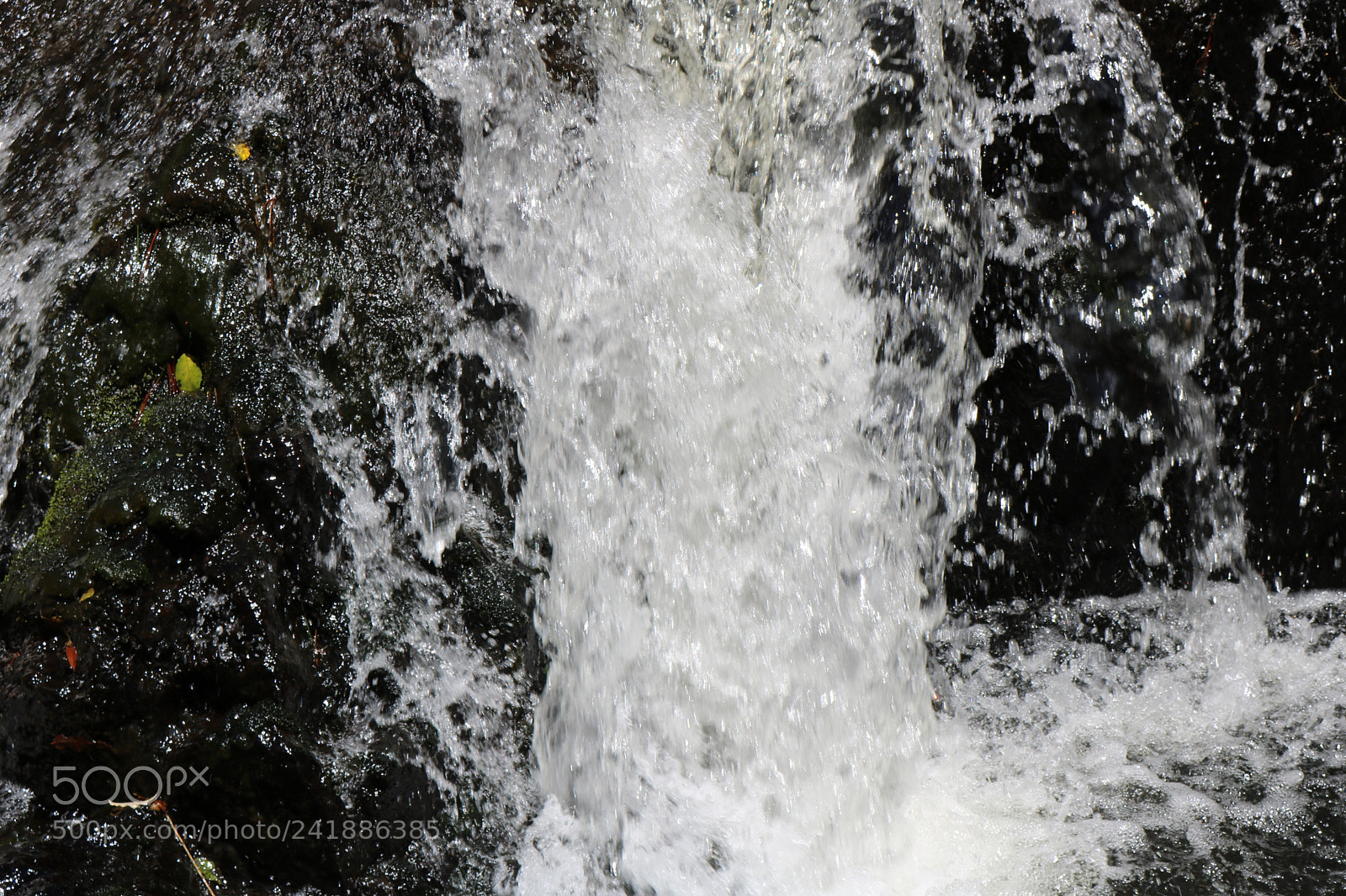 Canon EOS 750D (EOS Rebel T6i / EOS Kiss X8i) sample photo. Img photography