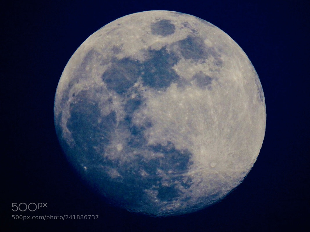 Nikon Coolpix P900 sample photo. Full moon. photography