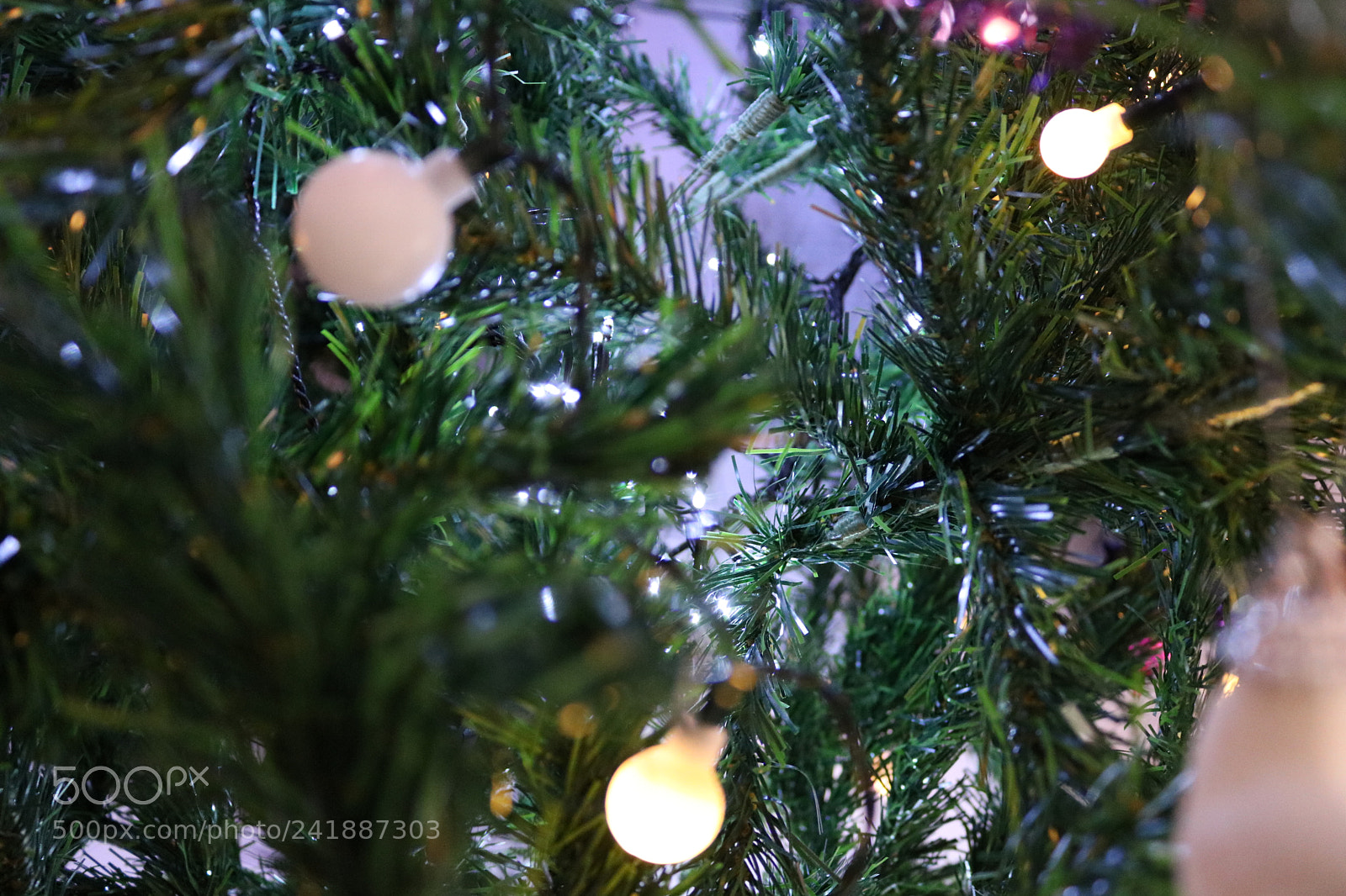 Canon EOS 750D (EOS Rebel T6i / EOS Kiss X8i) sample photo. Untitled photography