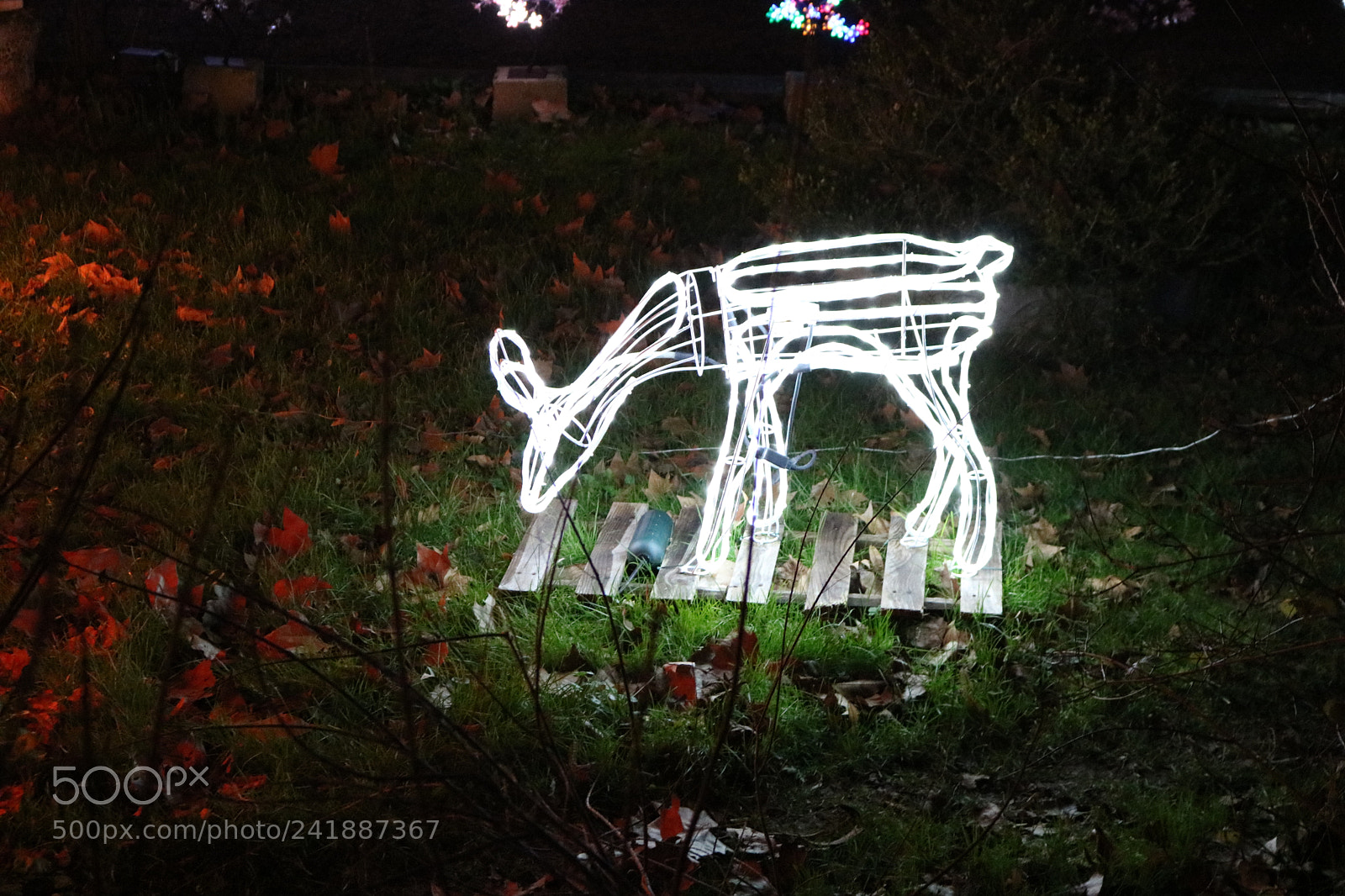 Canon EOS 750D (EOS Rebel T6i / EOS Kiss X8i) sample photo. Untitled photography
