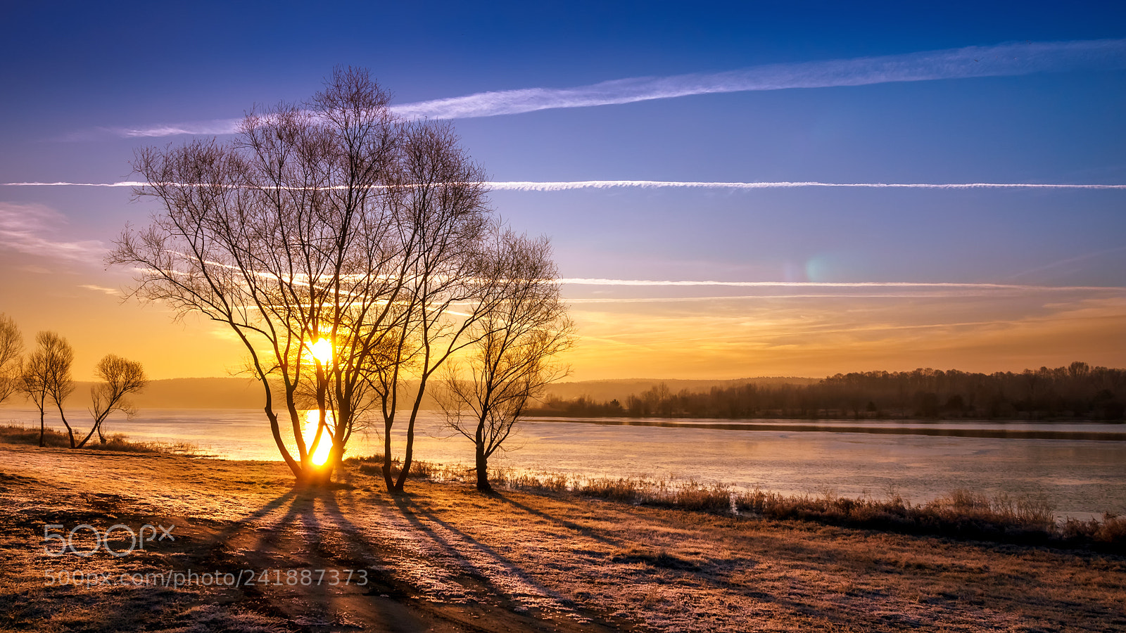Olympus PEN E-PL6 sample photo. A frosty morning photography