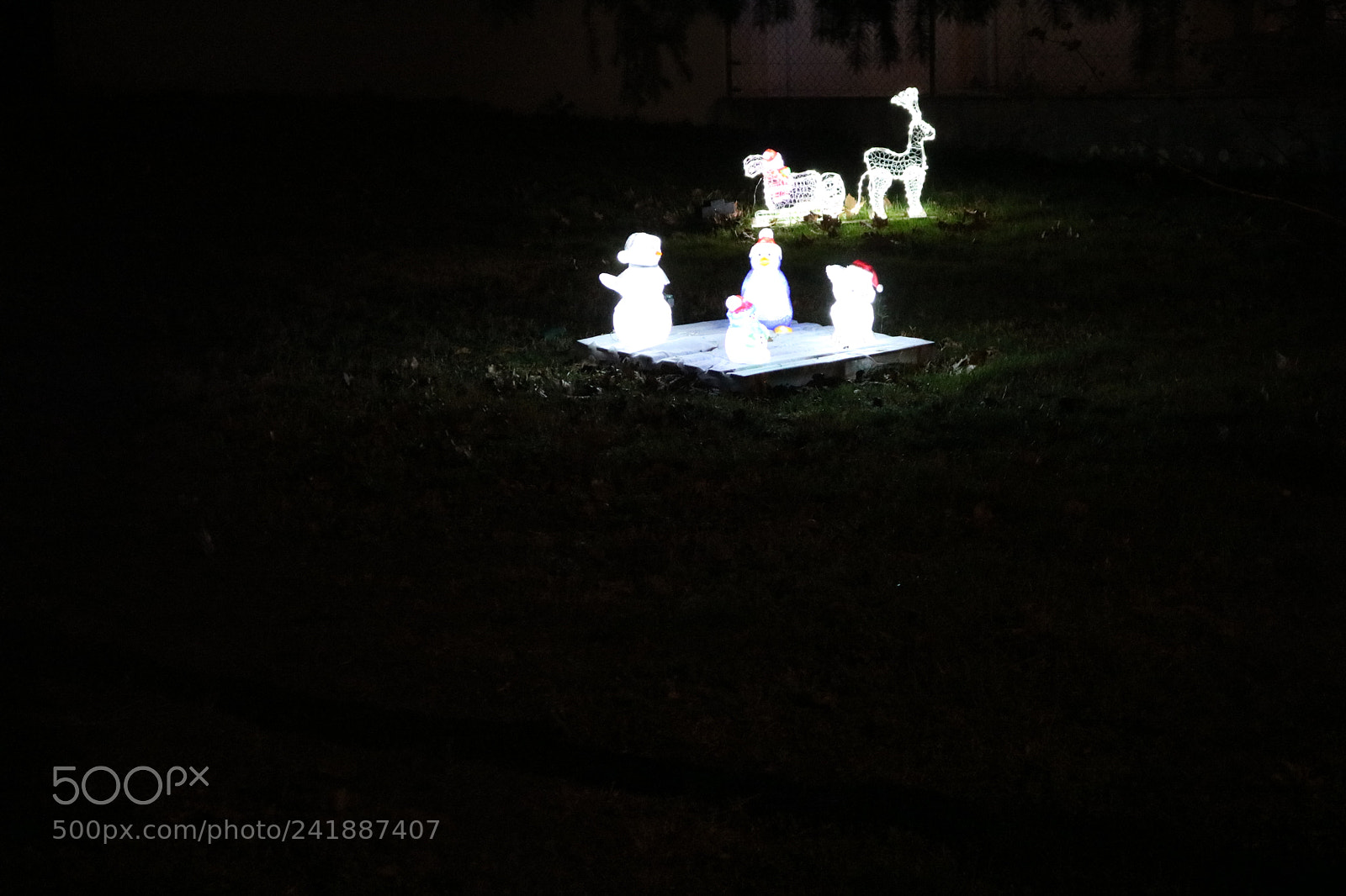 Canon EOS 750D (EOS Rebel T6i / EOS Kiss X8i) sample photo. Untitled photography
