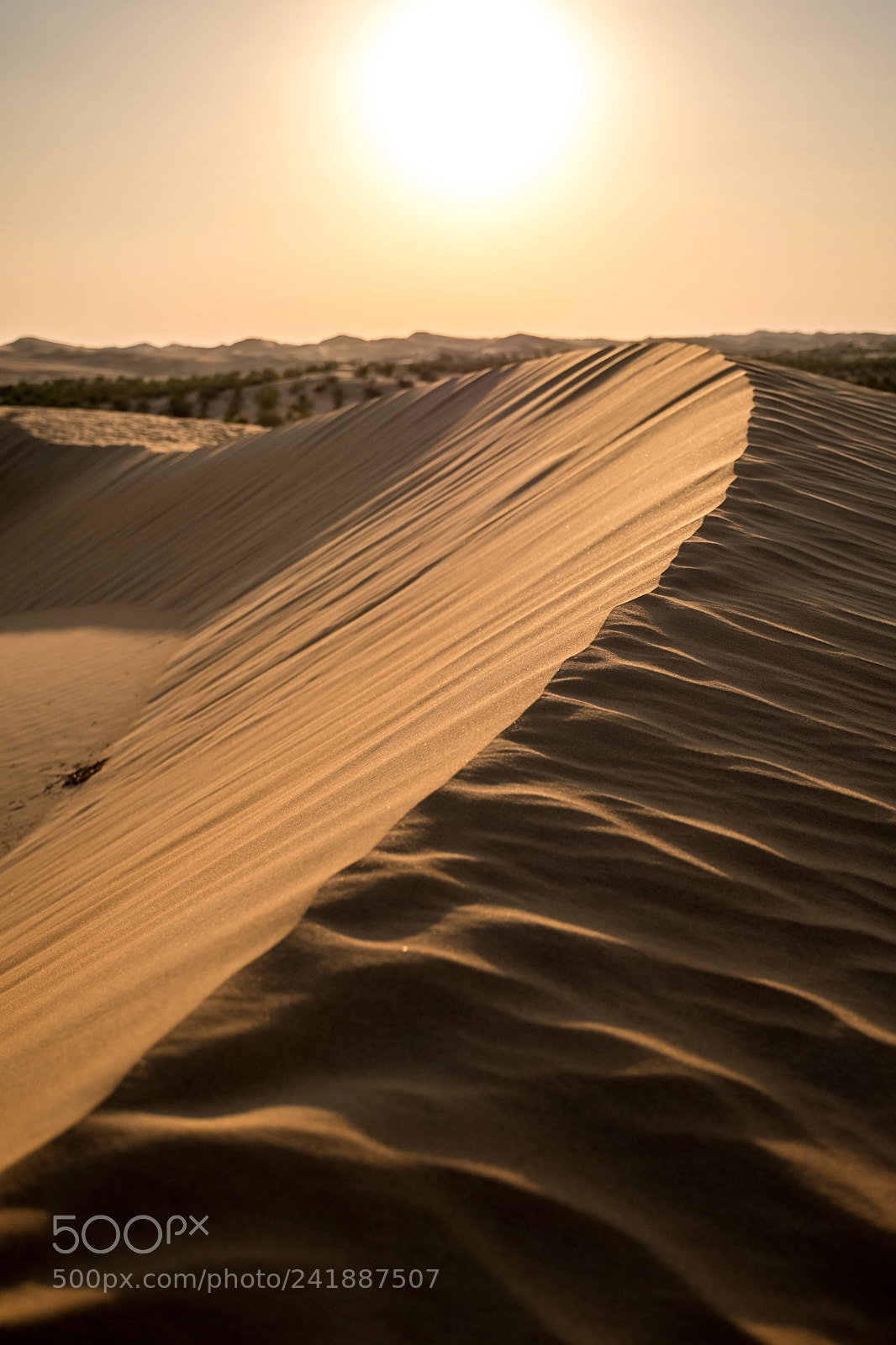 Fujifilm X-T2 sample photo. Dune, abu dhabi, united photography