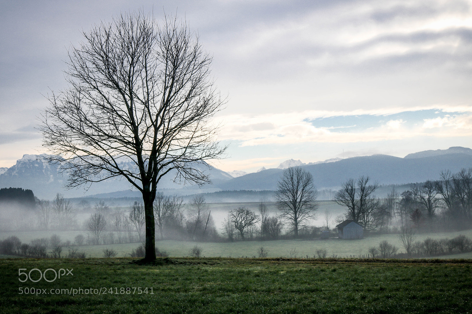 Canon EOS 750D (EOS Rebel T6i / EOS Kiss X8i) sample photo. Neblige zeiten... photography