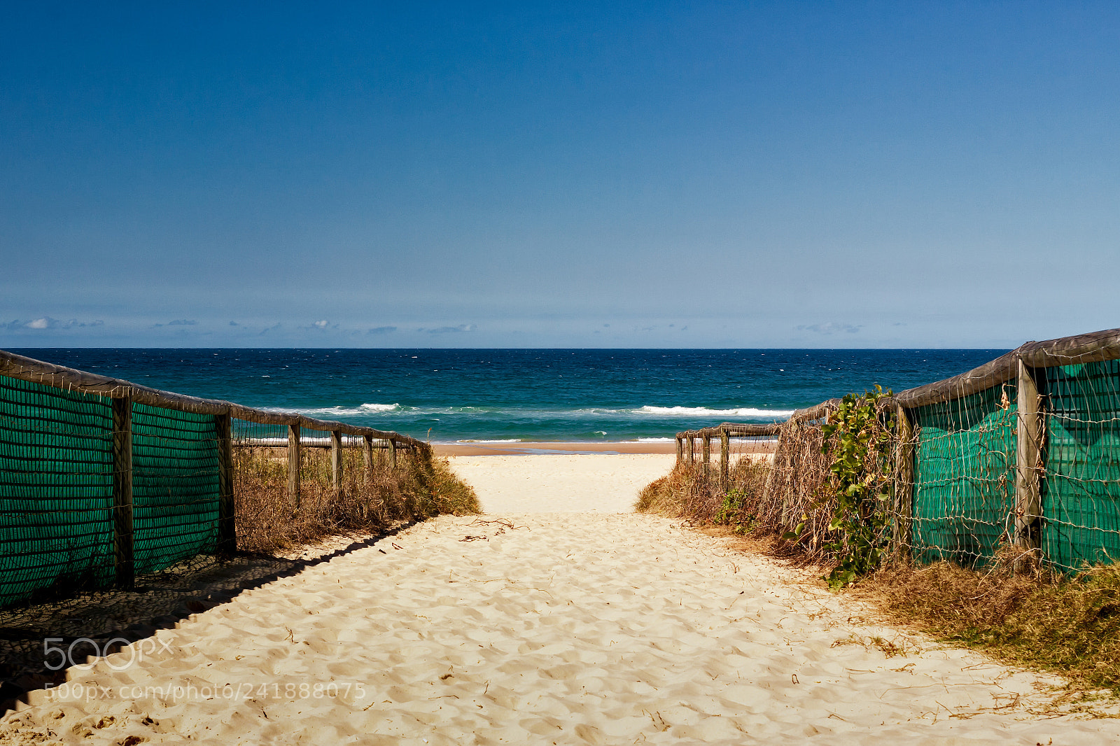 Canon EOS 50D sample photo. Path to the beach photography