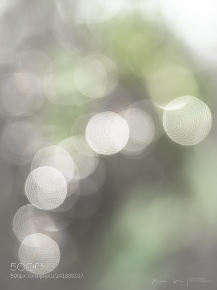 Olympus OM-D E-M1 Mark II sample photo. Unfocused.. photography