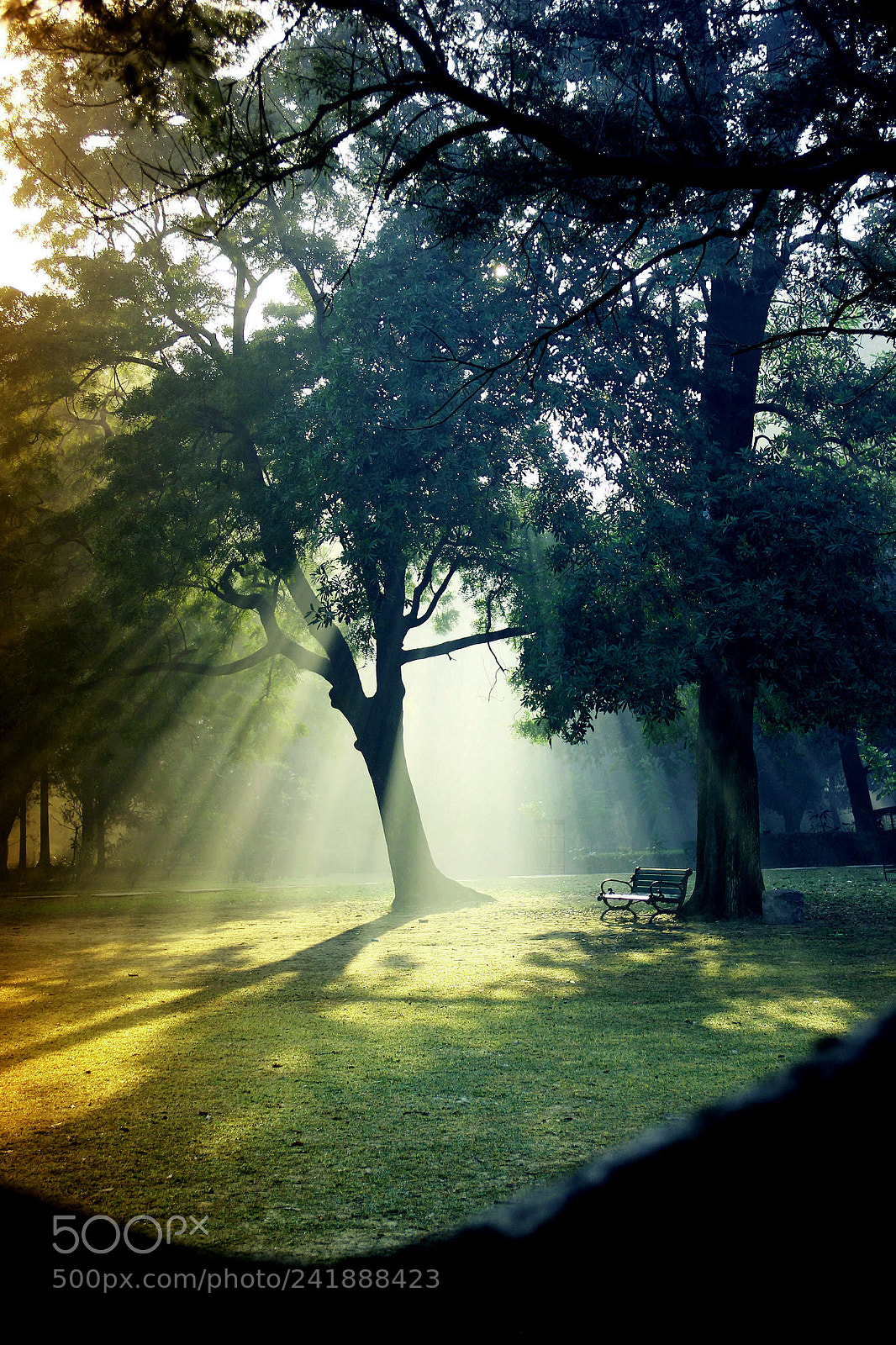 Canon EOS 550D (EOS Rebel T2i / EOS Kiss X4) sample photo. Nature at its best... photography