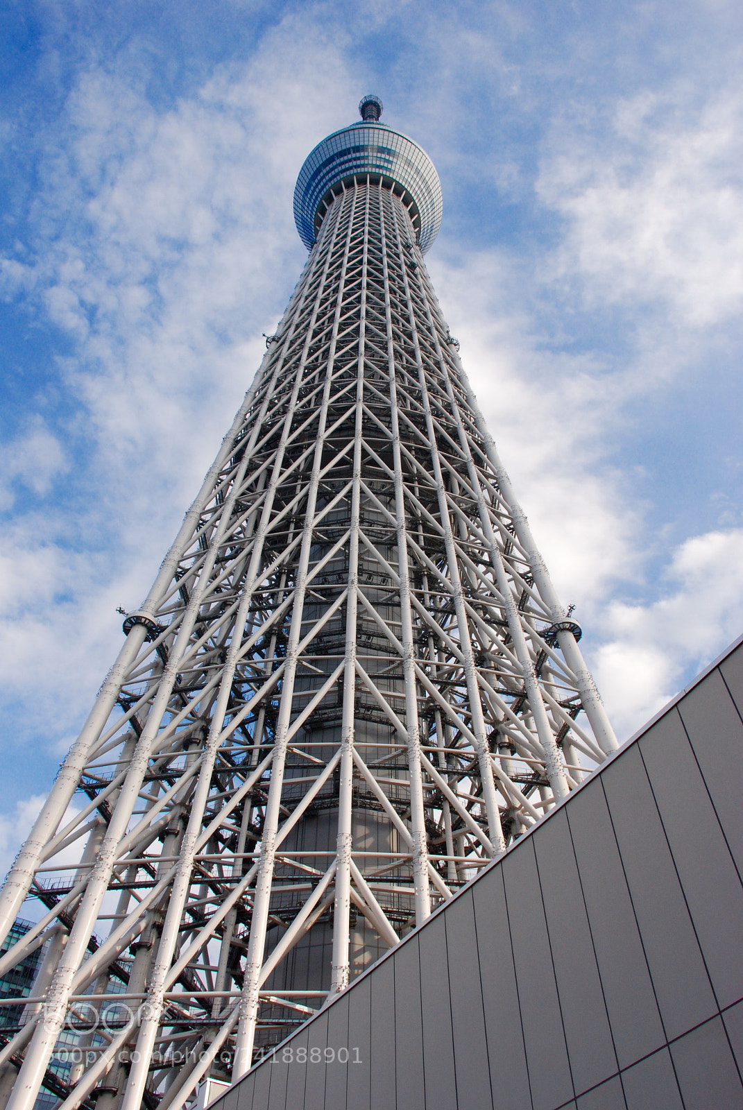 Nikon D80 sample photo. Japan/tokyo 日本/東京 (180109)* photography