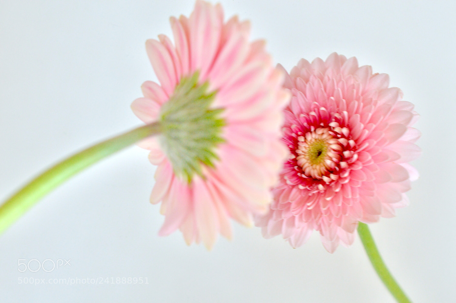Nikon D3200 sample photo. Untitled photography