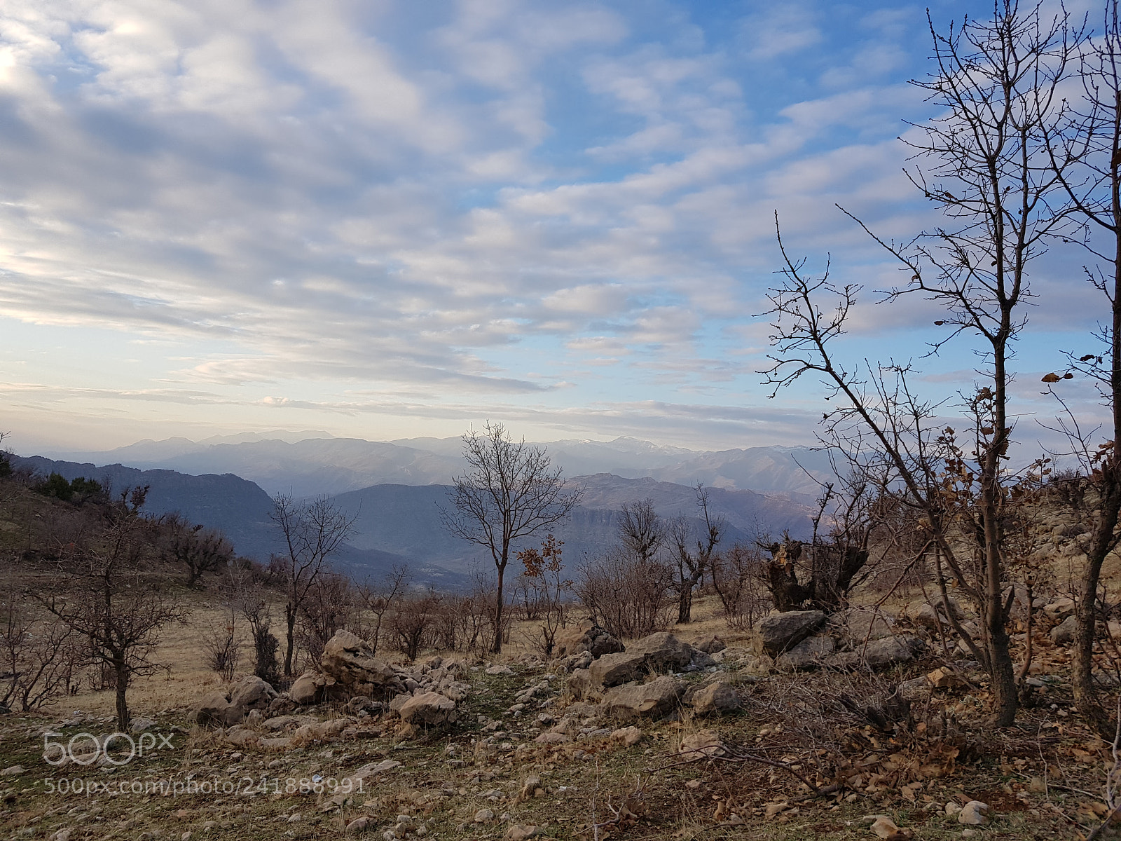 Samsung Galaxy S8+ sample photo. Untitled photography