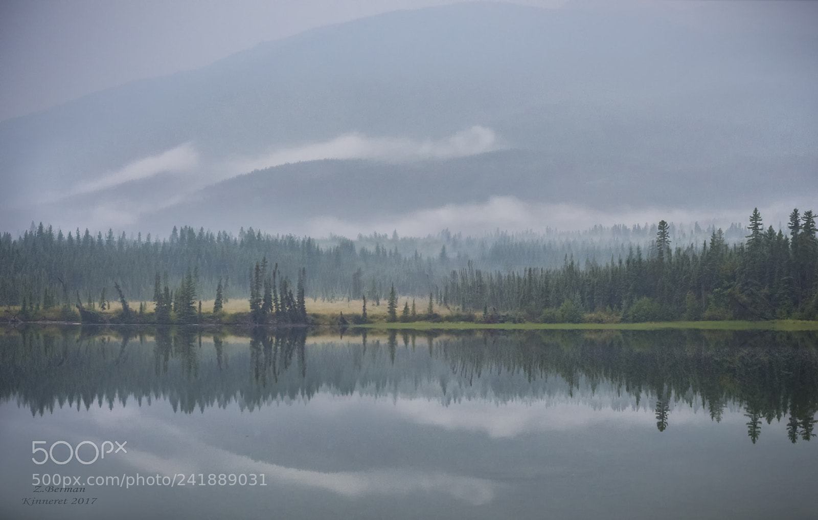 Nikon D810 sample photo. Fog photography