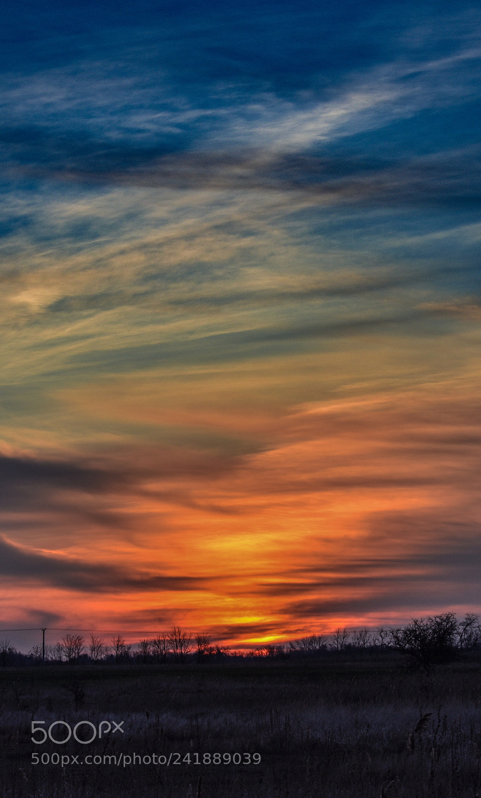 Nikon D3400 sample photo. Colorful morning photography