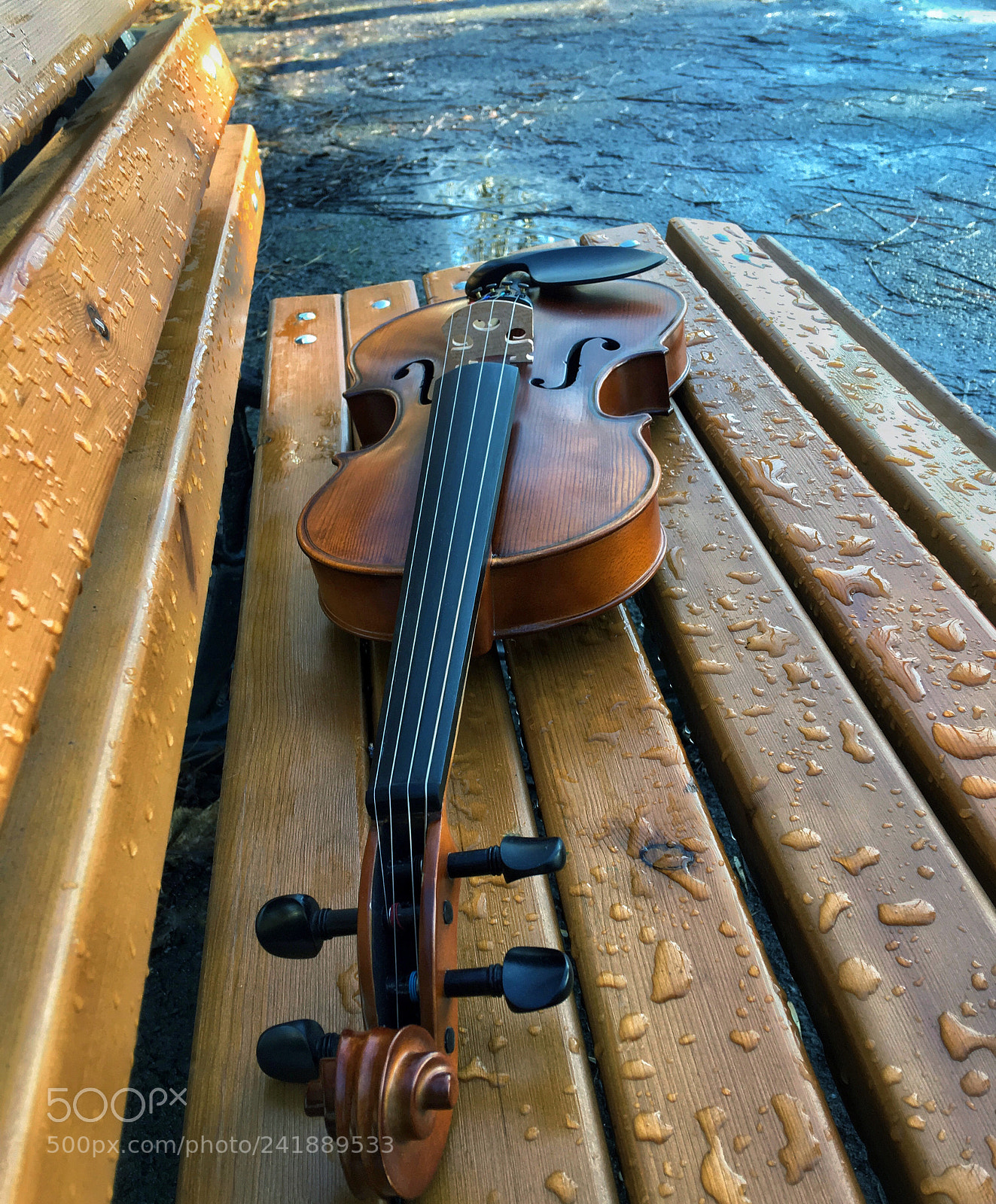 Apple iPhone 6s Plus sample photo. Violin photography