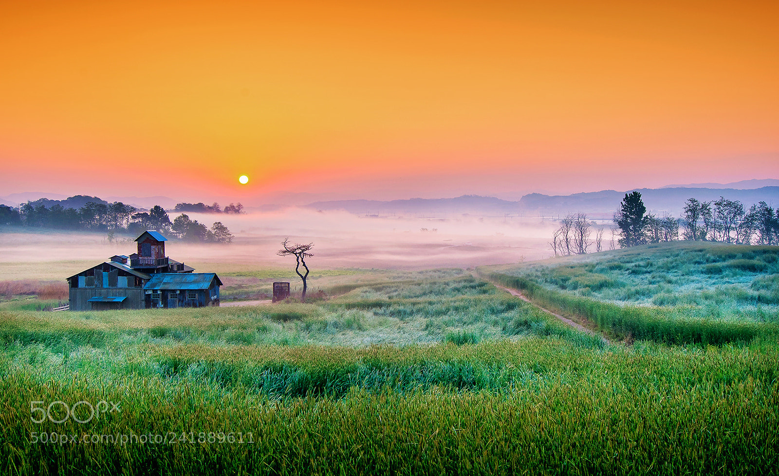 Nikon D7100 sample photo. 안성목장의 아침풍경 photography