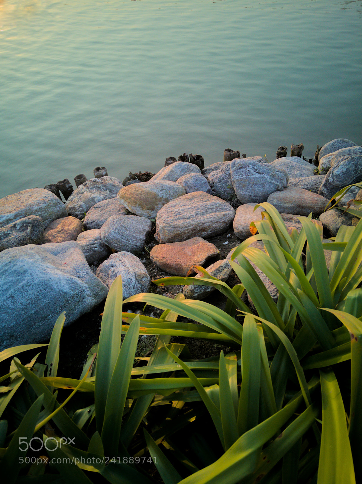 HUAWEI honor 6x sample photo. Waterfront photography