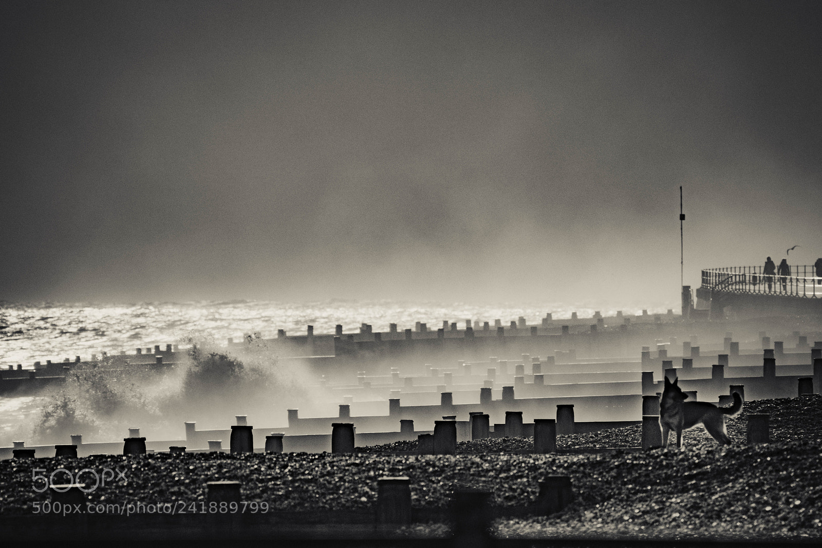 Canon EOS 77D (EOS 9000D / EOS 770D) sample photo. Eastbourne, east sussex uk photography