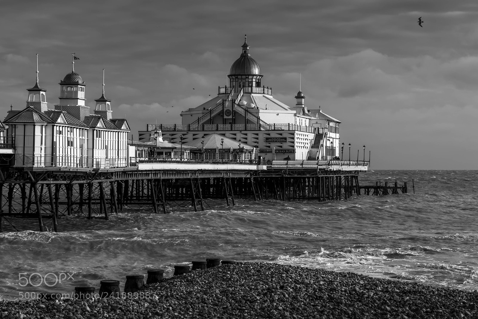 Canon EOS 77D (EOS 9000D / EOS 770D) sample photo. Eastbourne, east sussex uk photography