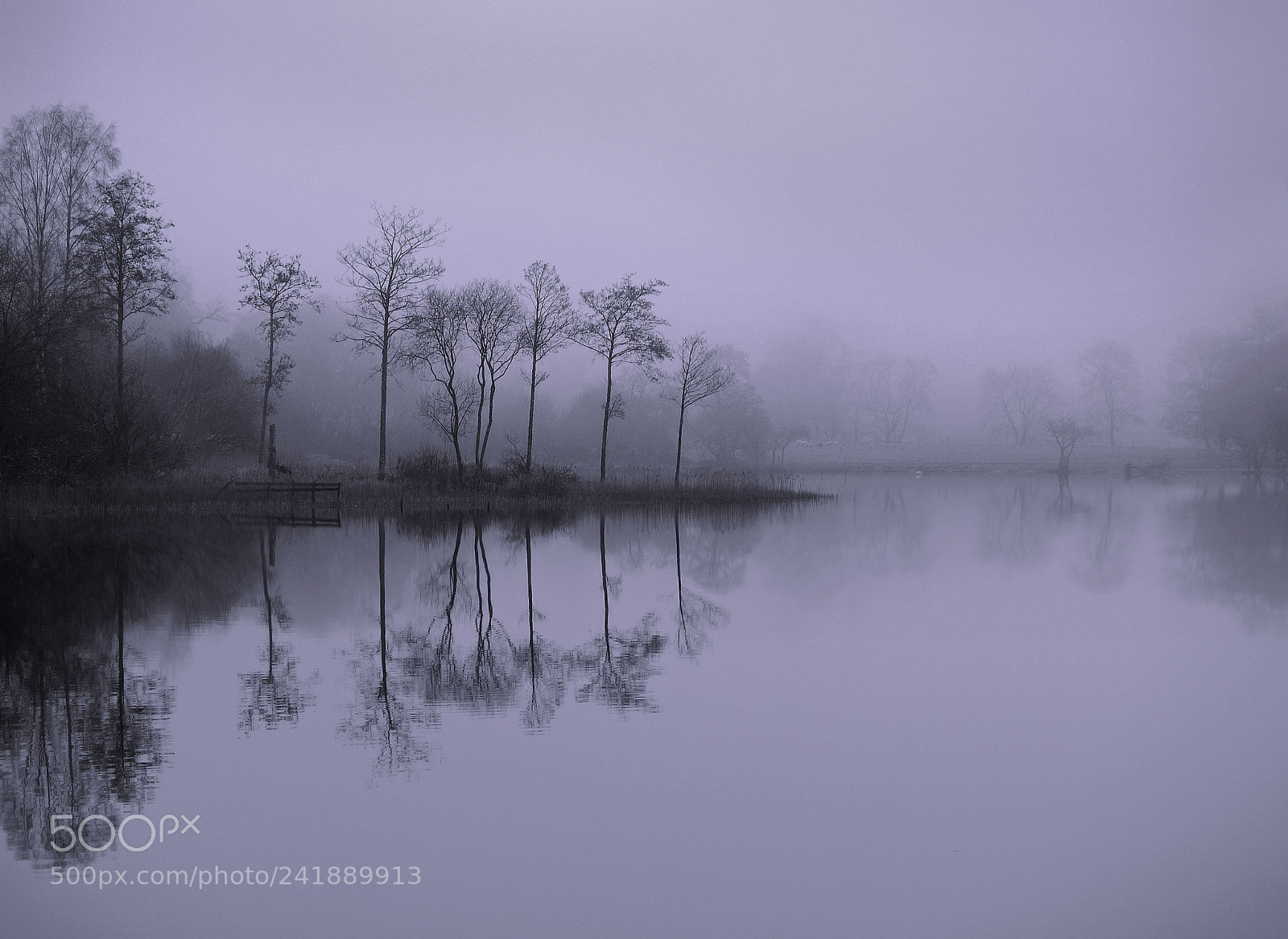Panasonic Lumix DMC-GF1 sample photo. One misty morn on photography