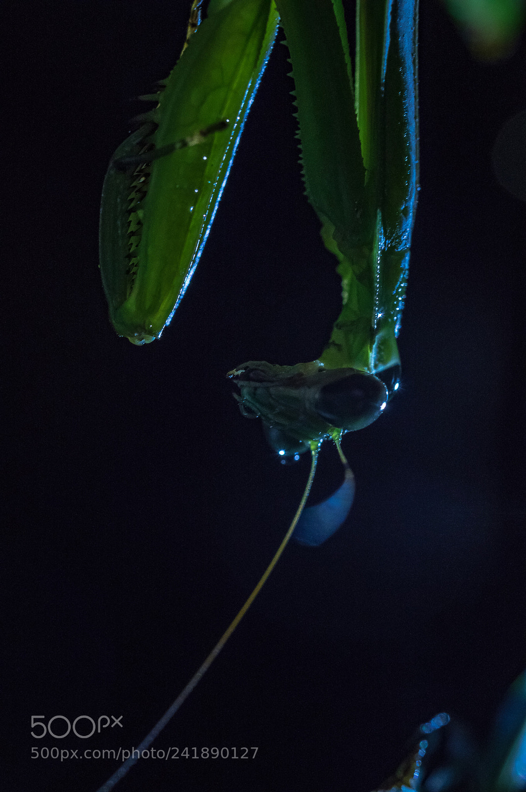 Pentax K-3 II sample photo. Cold rain photography