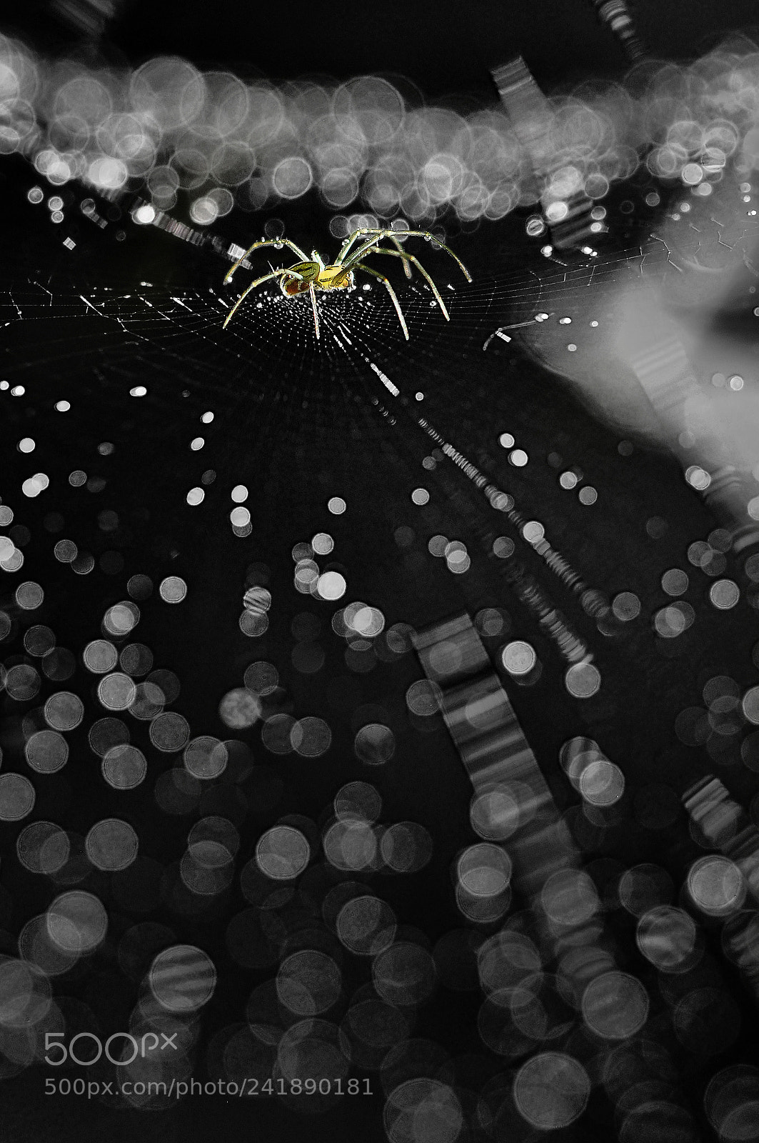 Nikon D90 sample photo. Morning universe photography