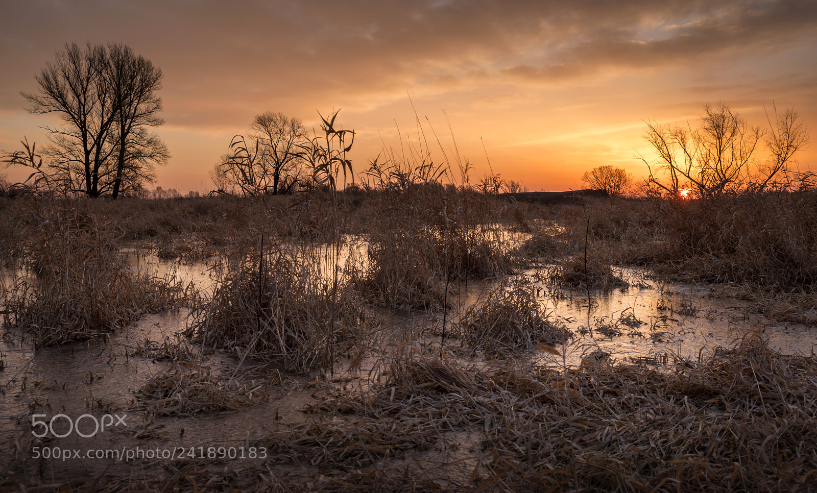 Pentax K-1 sample photo. Frosty morning photography