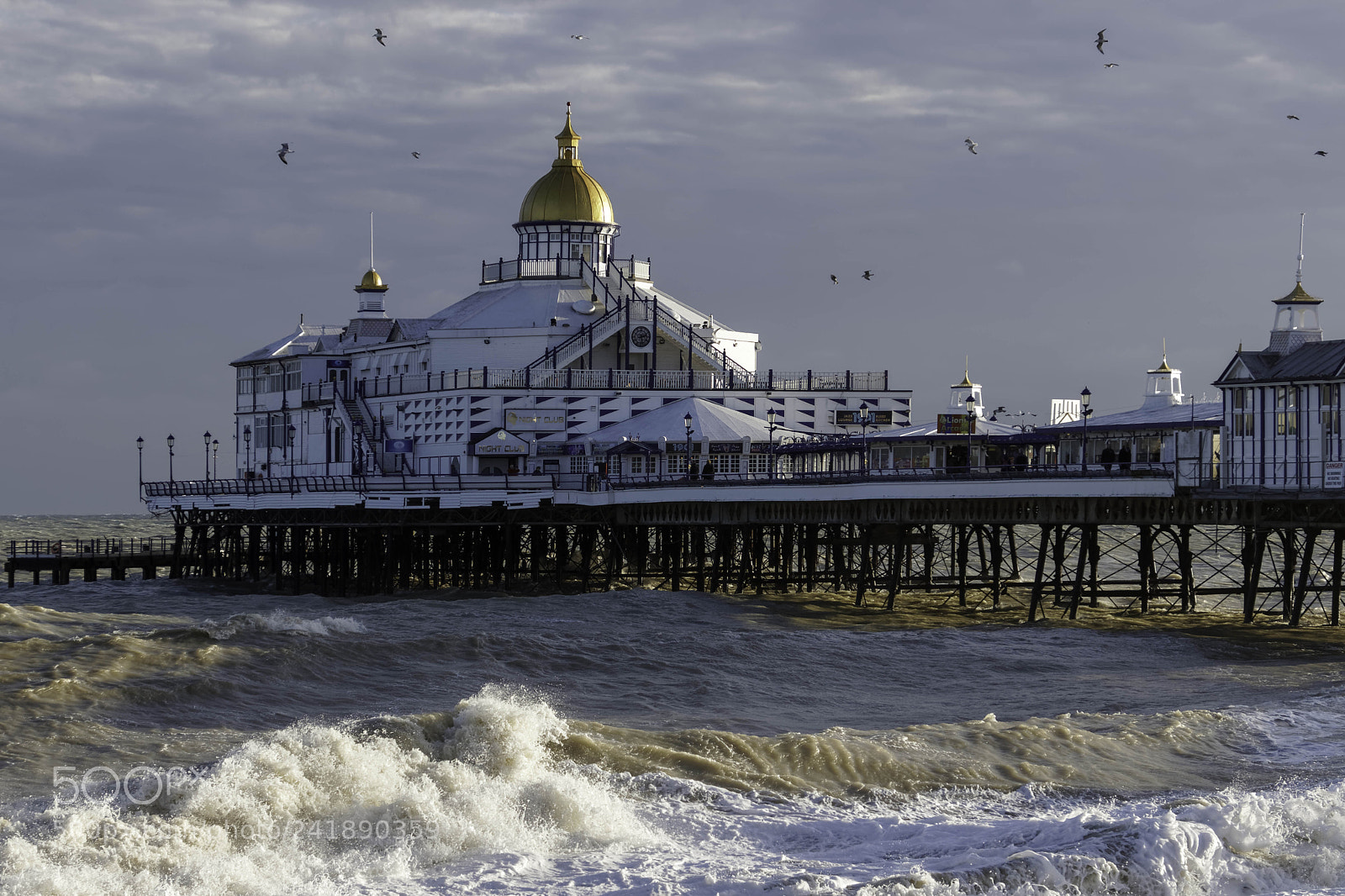 Canon EOS 77D (EOS 9000D / EOS 770D) sample photo. Eastbourne, east sussex uk photography