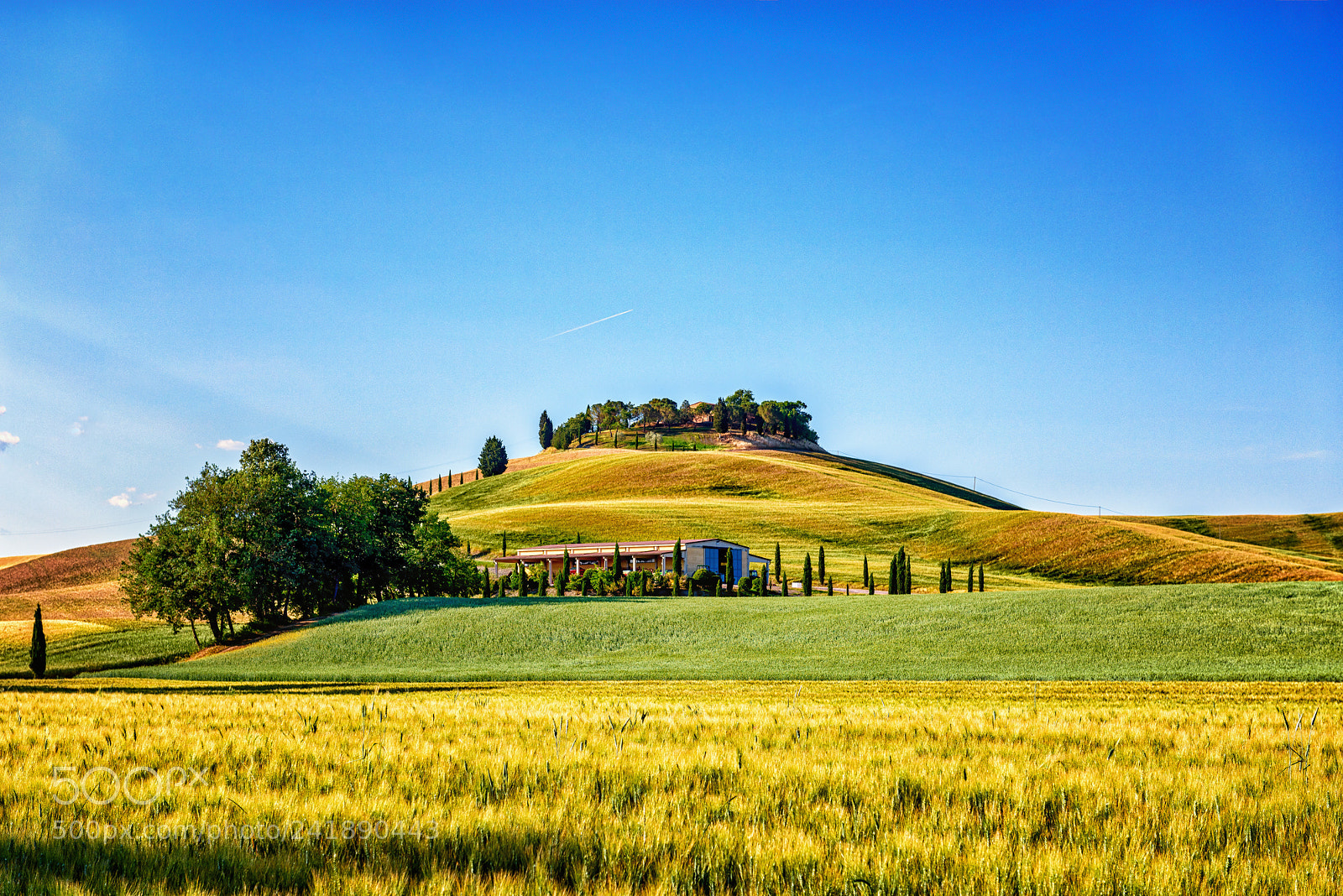 Nikon D810 sample photo. Tuscany @ end of noon ! photography