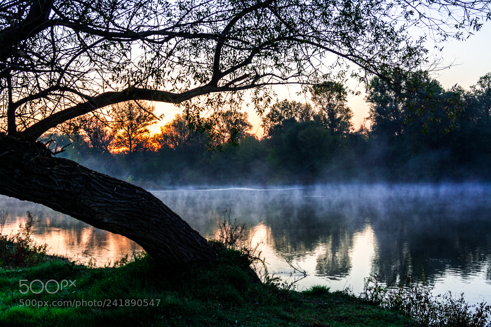 Nikon D7100 sample photo. Morning photography