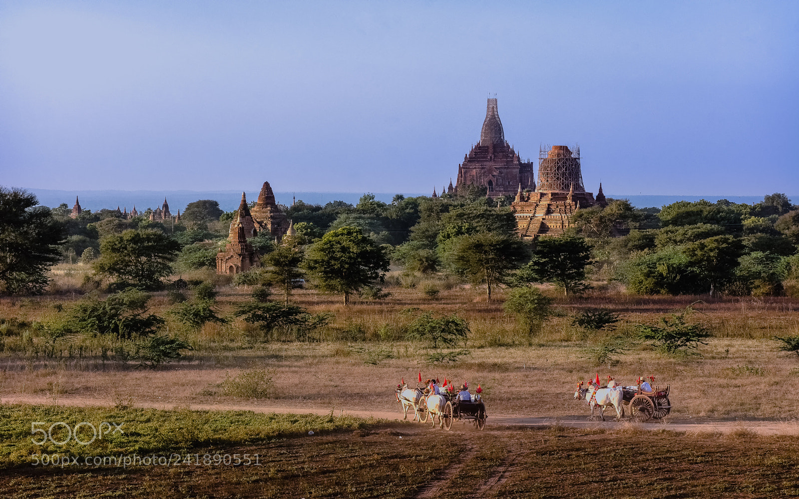 Nikon D7200 sample photo. Bagan ss bullockcart wanasa photography