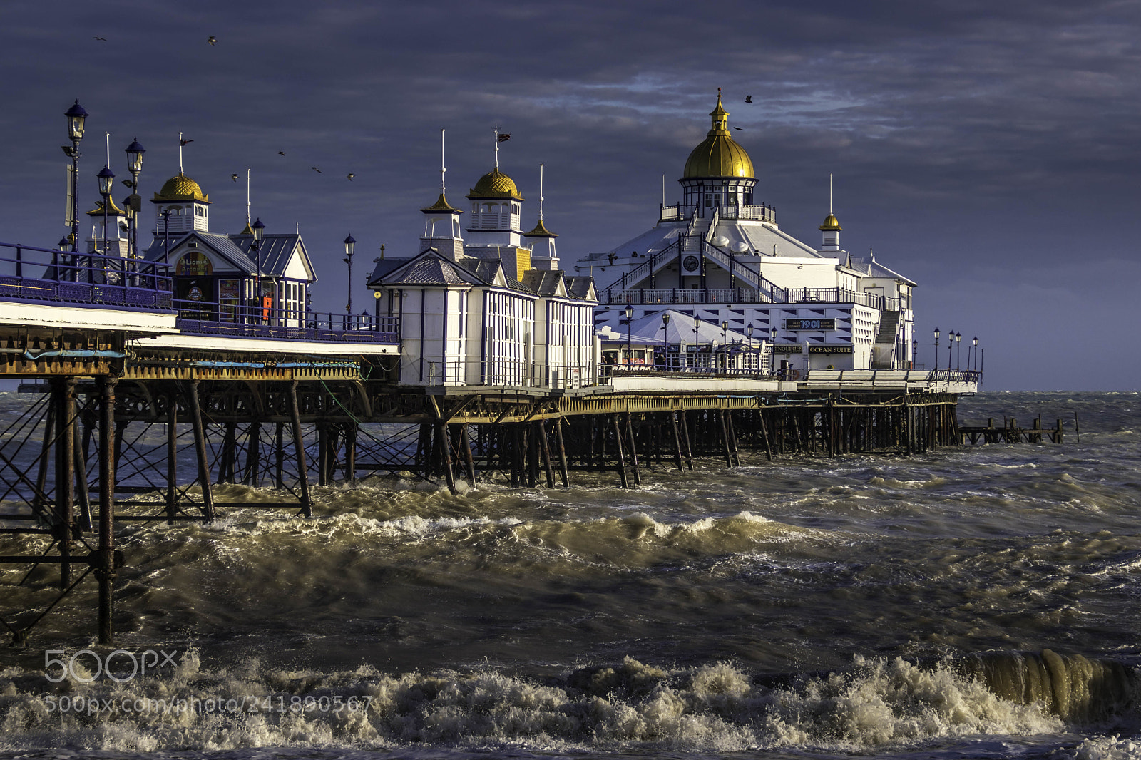 Canon EOS 77D (EOS 9000D / EOS 770D) sample photo. Eastbourne, east sussex uk photography