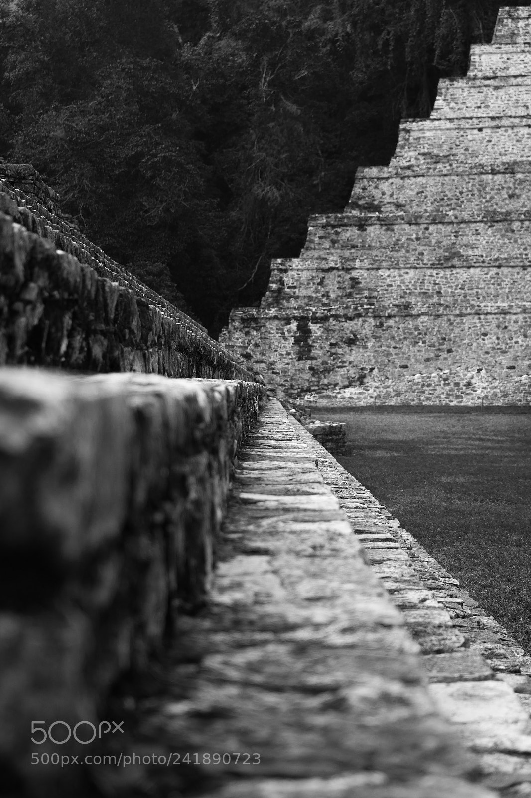 Sony a7 II sample photo. Palenque photography