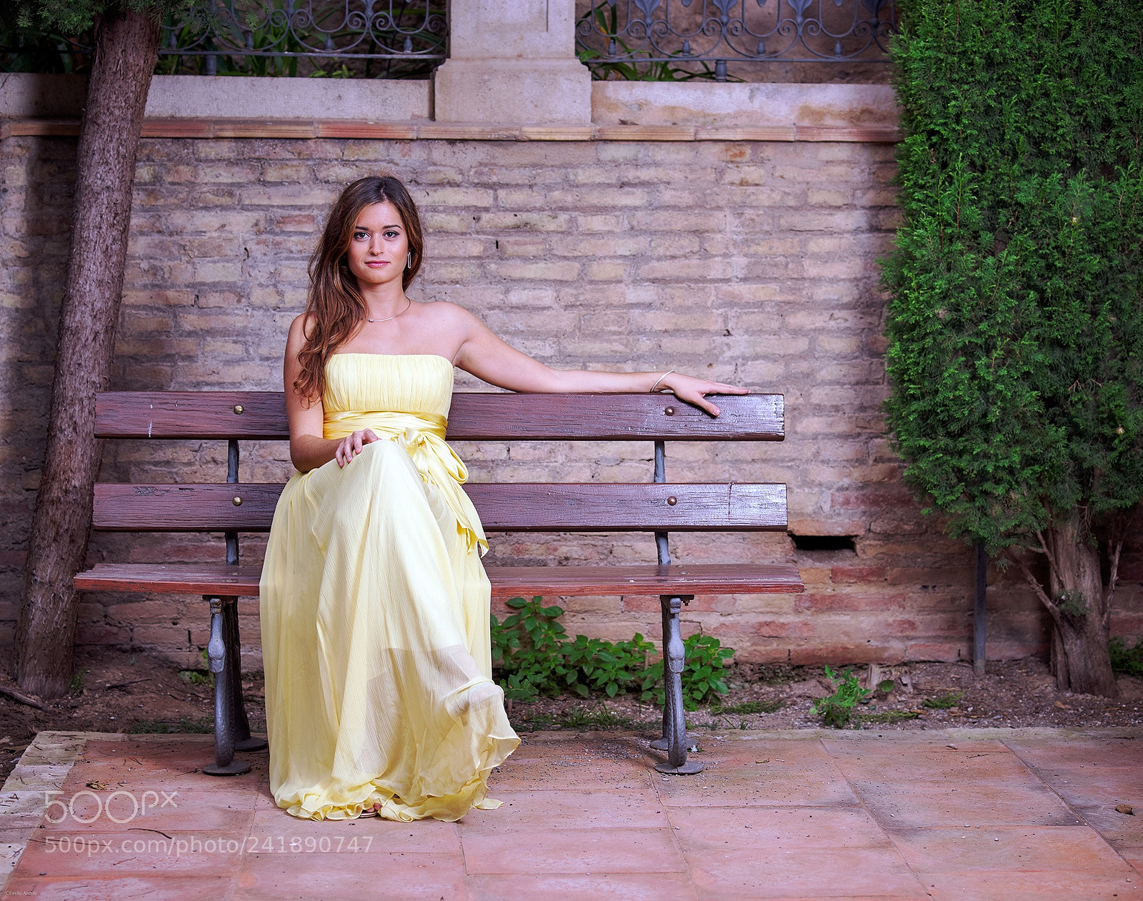 Nikon D800 sample photo. Untitled photography