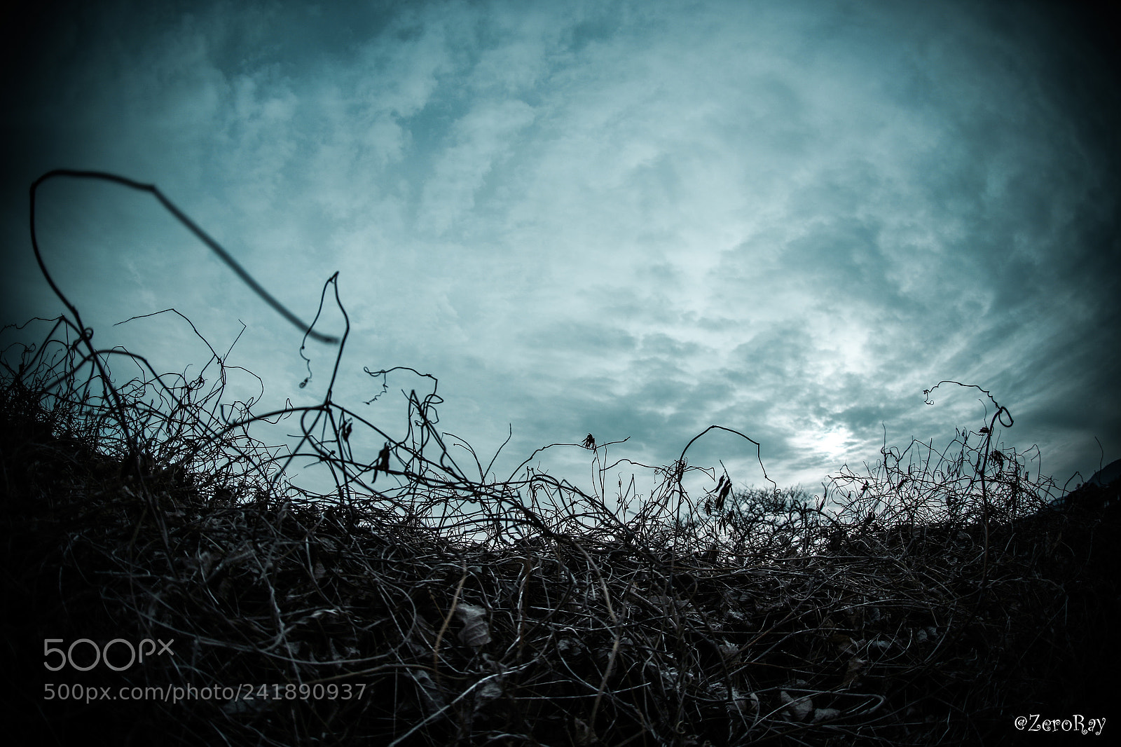 Canon EOS-1D X Mark II sample photo. Winter landscape photography