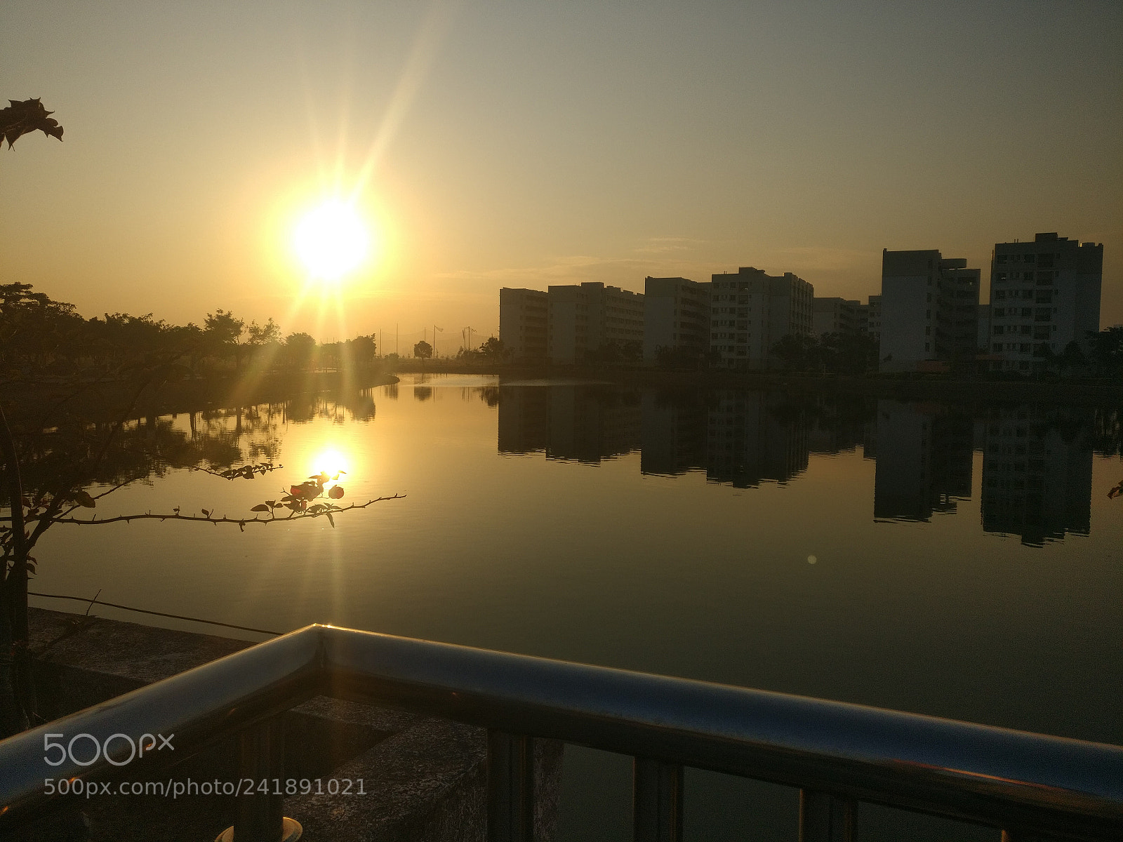 OnePlus A3000 sample photo. Untitled photography