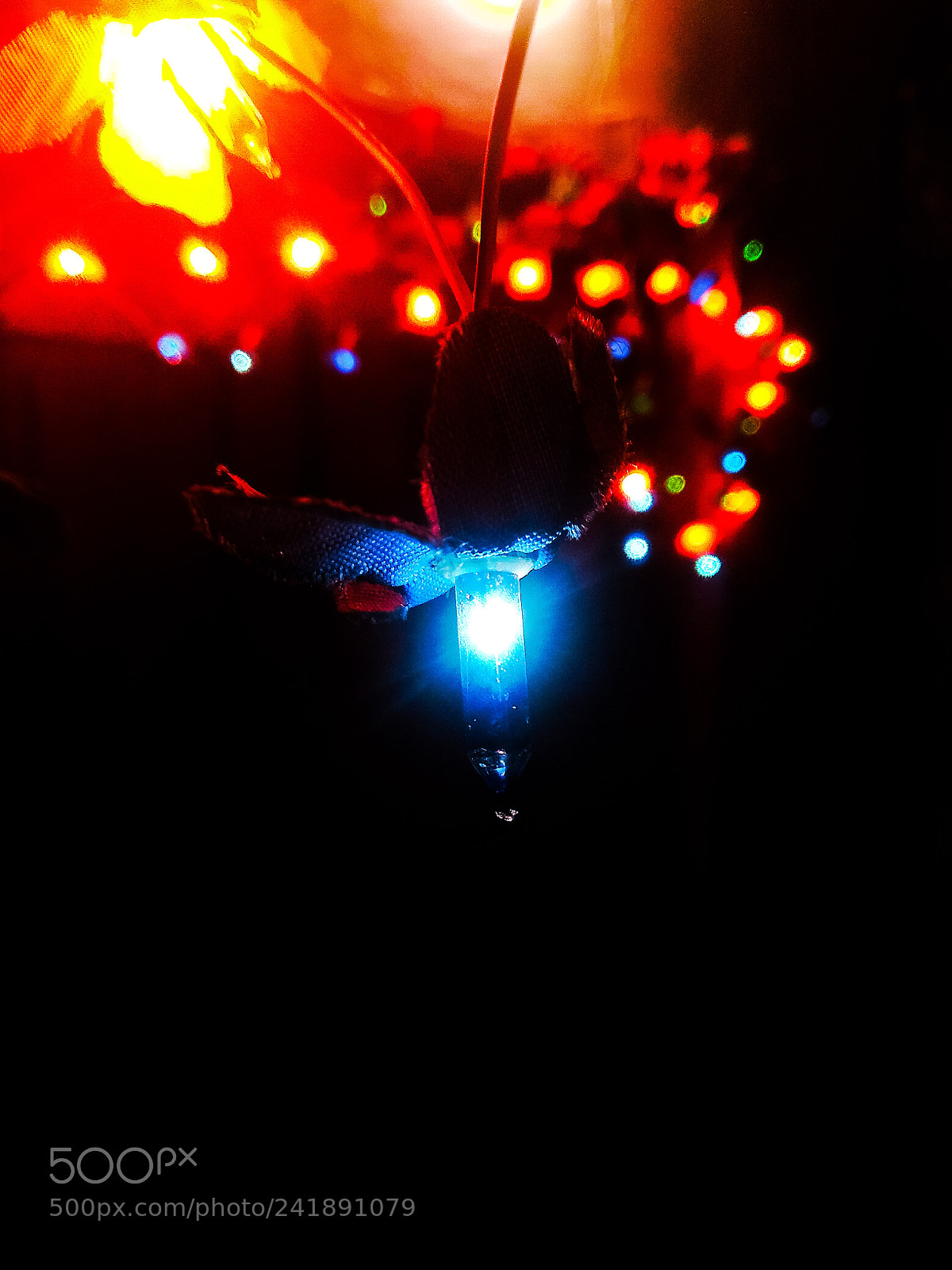 Xiaomi Redmi Note 4 sample photo. Little light photography