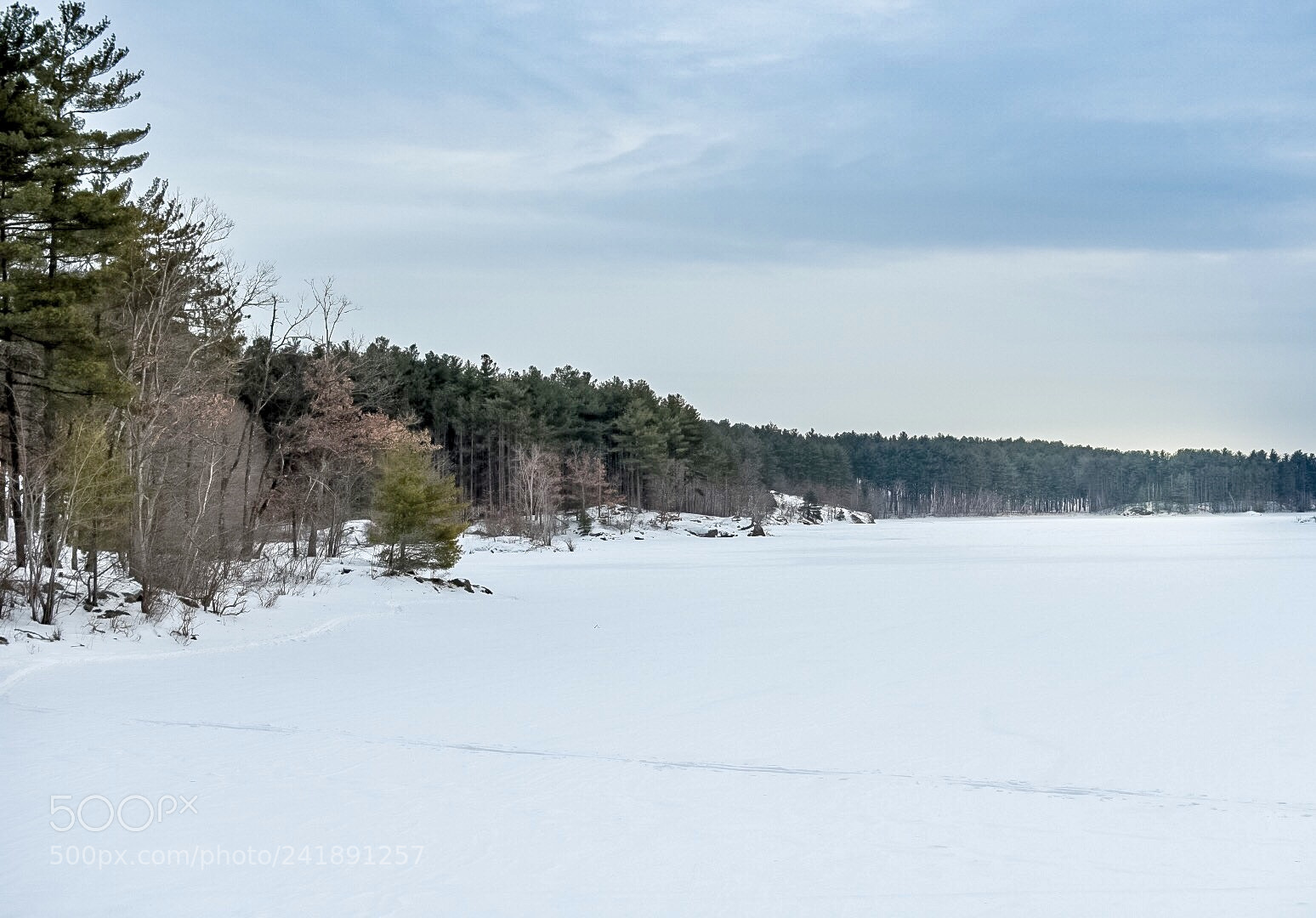 Nikon D7200 sample photo. Earlier today photography