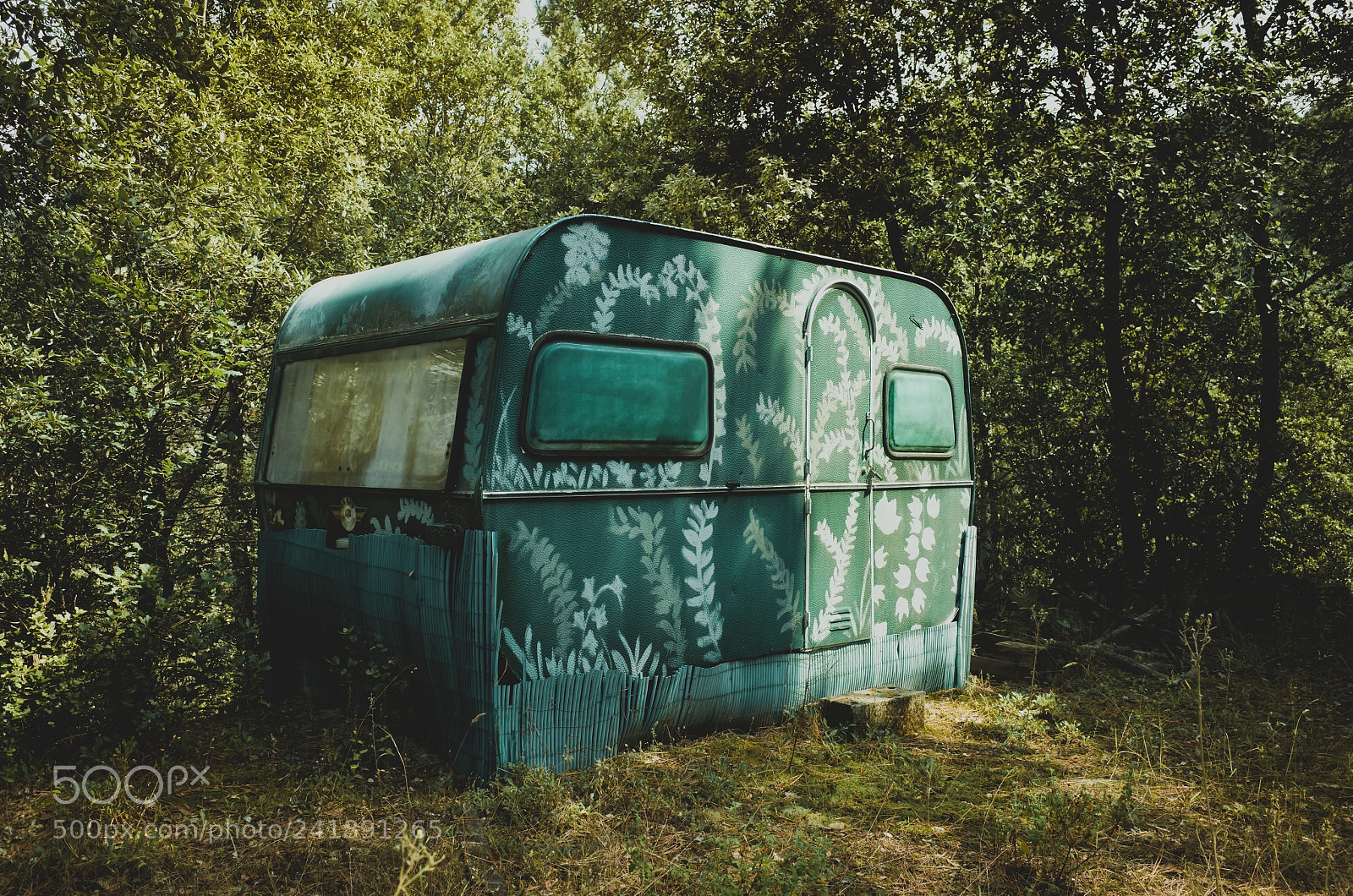 Ricoh GR II sample photo. Cabin in the woods. photography