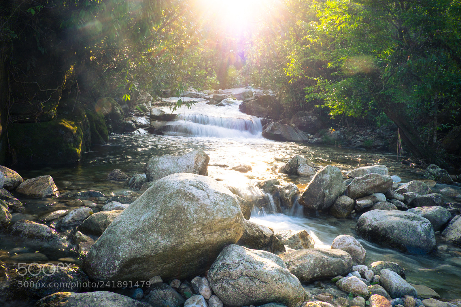 Fujifilm X-E2 sample photo. Bach moc luong tu photography
