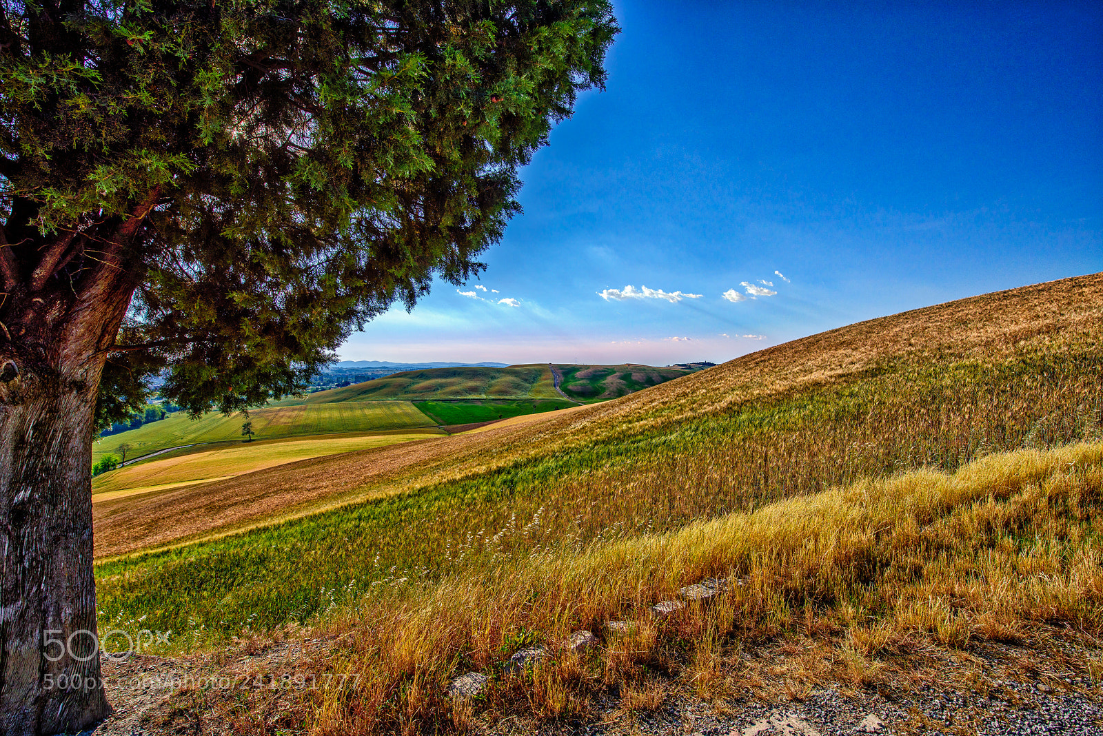 Nikon D810 sample photo. Driving down the hill photography
