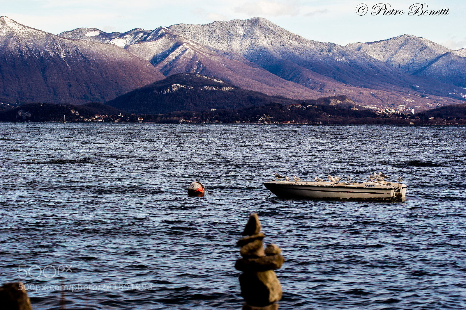 Canon EOS 60D sample photo. Farsi cullare photography