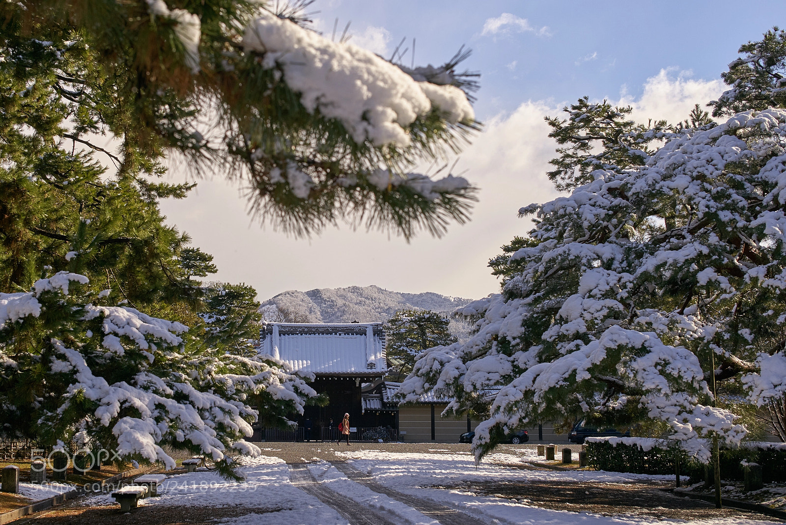 Leica M (Typ 240) sample photo. Snowy imperial palace park photography