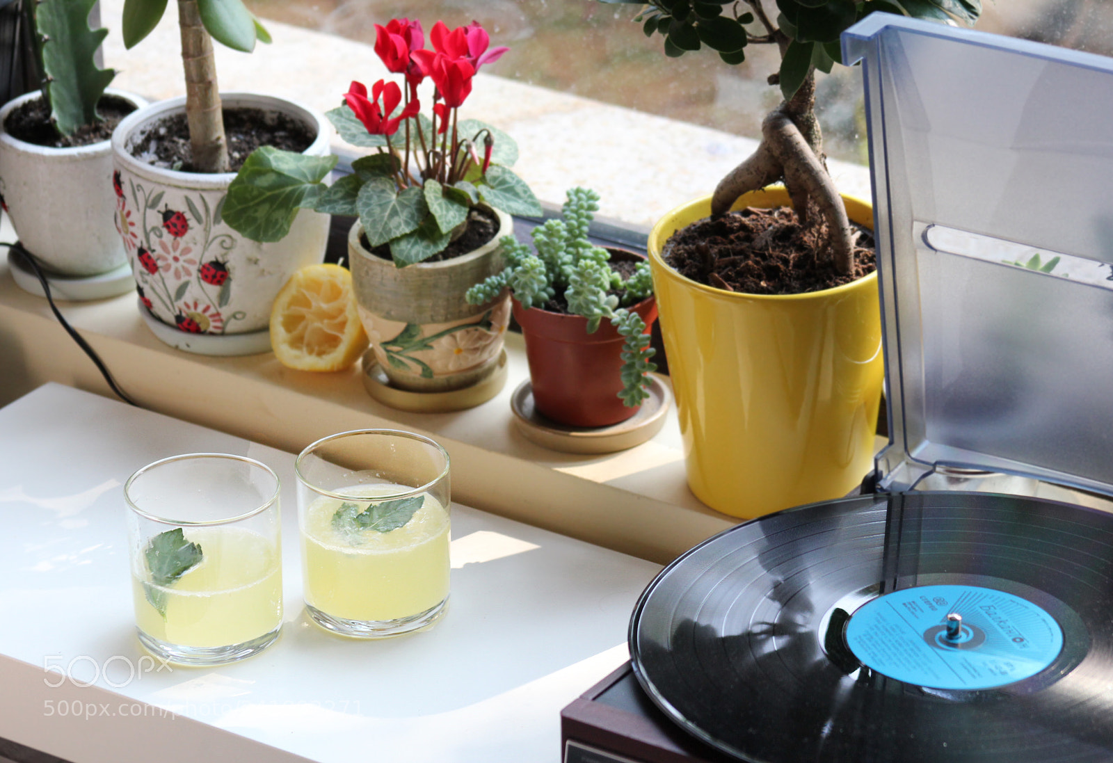 Canon EOS 550D (EOS Rebel T2i / EOS Kiss X4) sample photo. Homemade lemonade memories :) photography