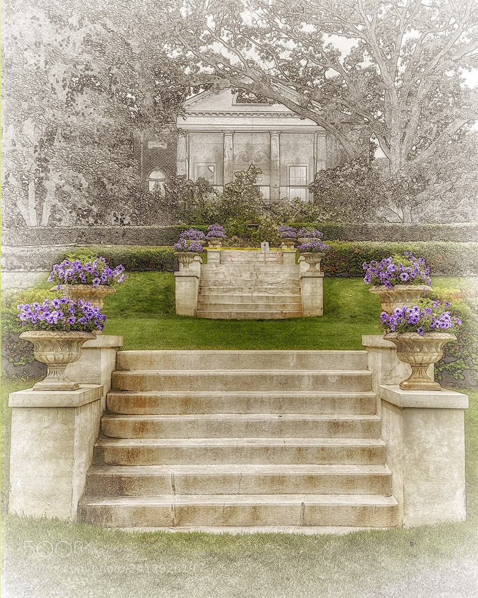Nikon D600 sample photo. Cantigny photography