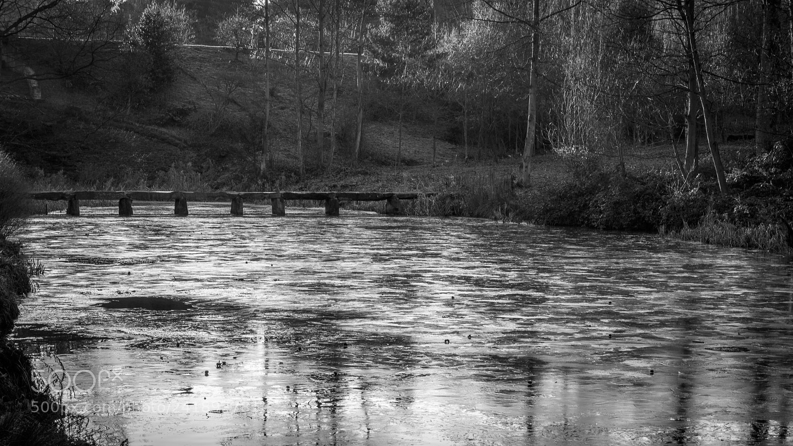 Nikon D7200 sample photo. Stone footbridge. lower lake photography
