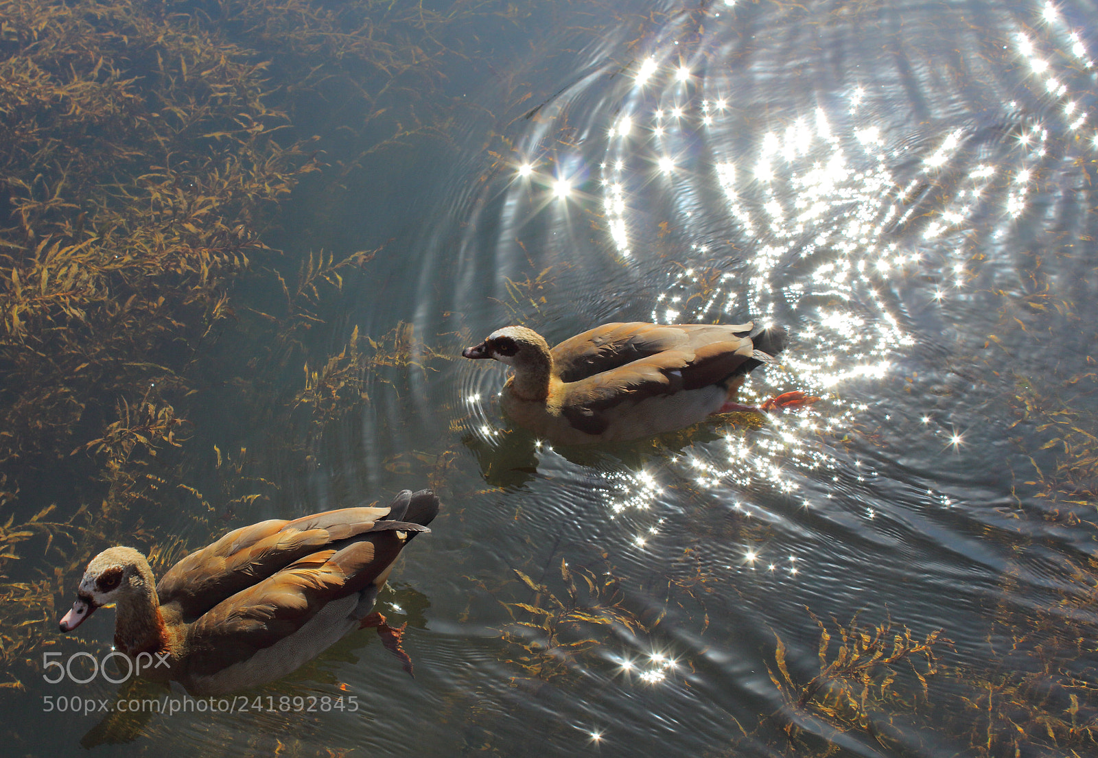 Canon EOS 650D (EOS Rebel T4i / EOS Kiss X6i) sample photo. Calming waters photography