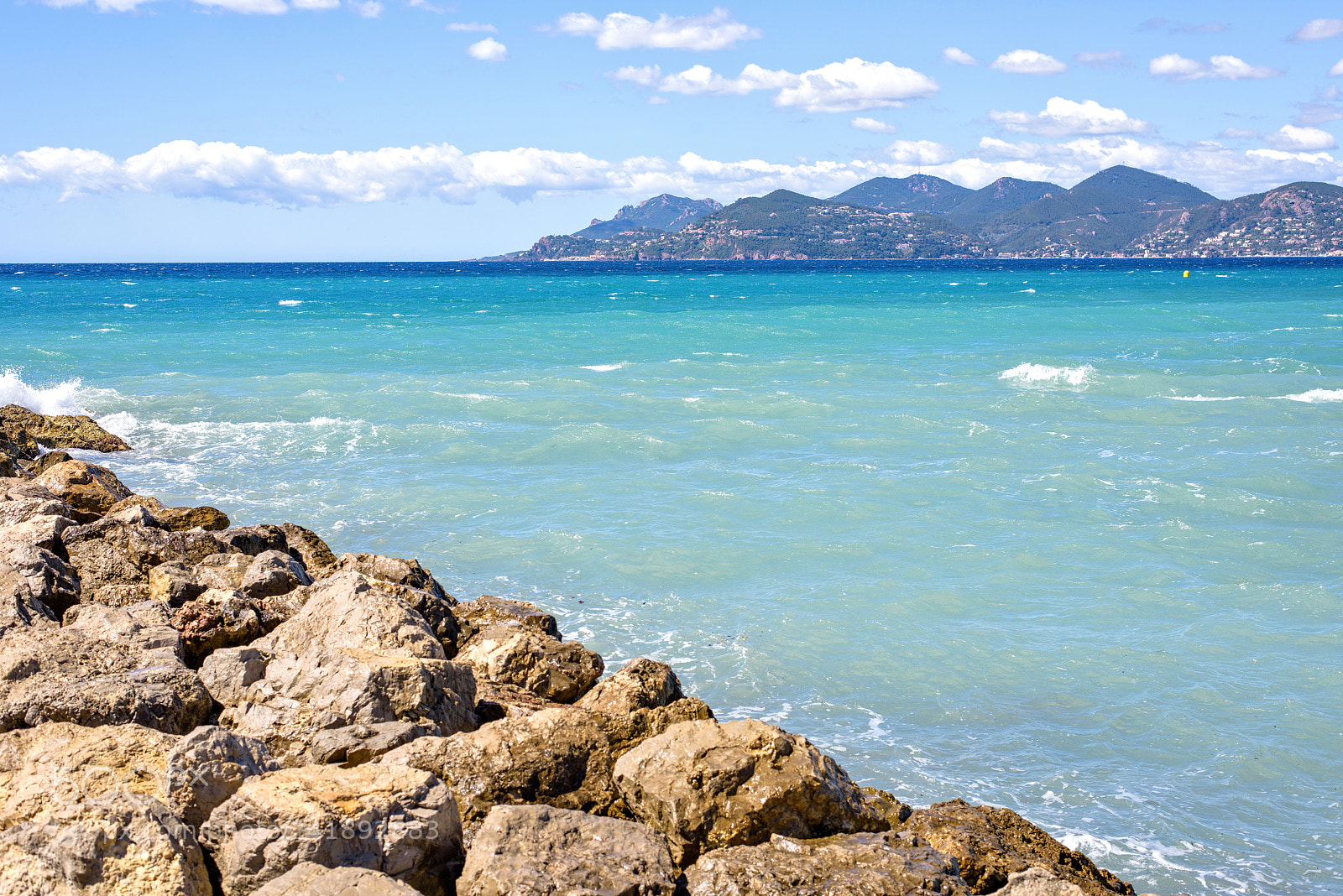 Nikon D810 sample photo. Daylight sunny view from photography